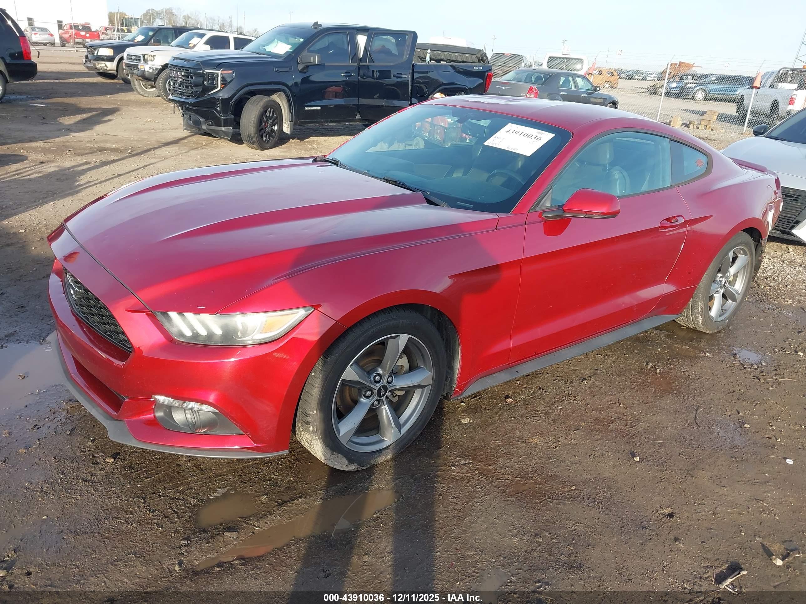 FORD MUSTANG image 2