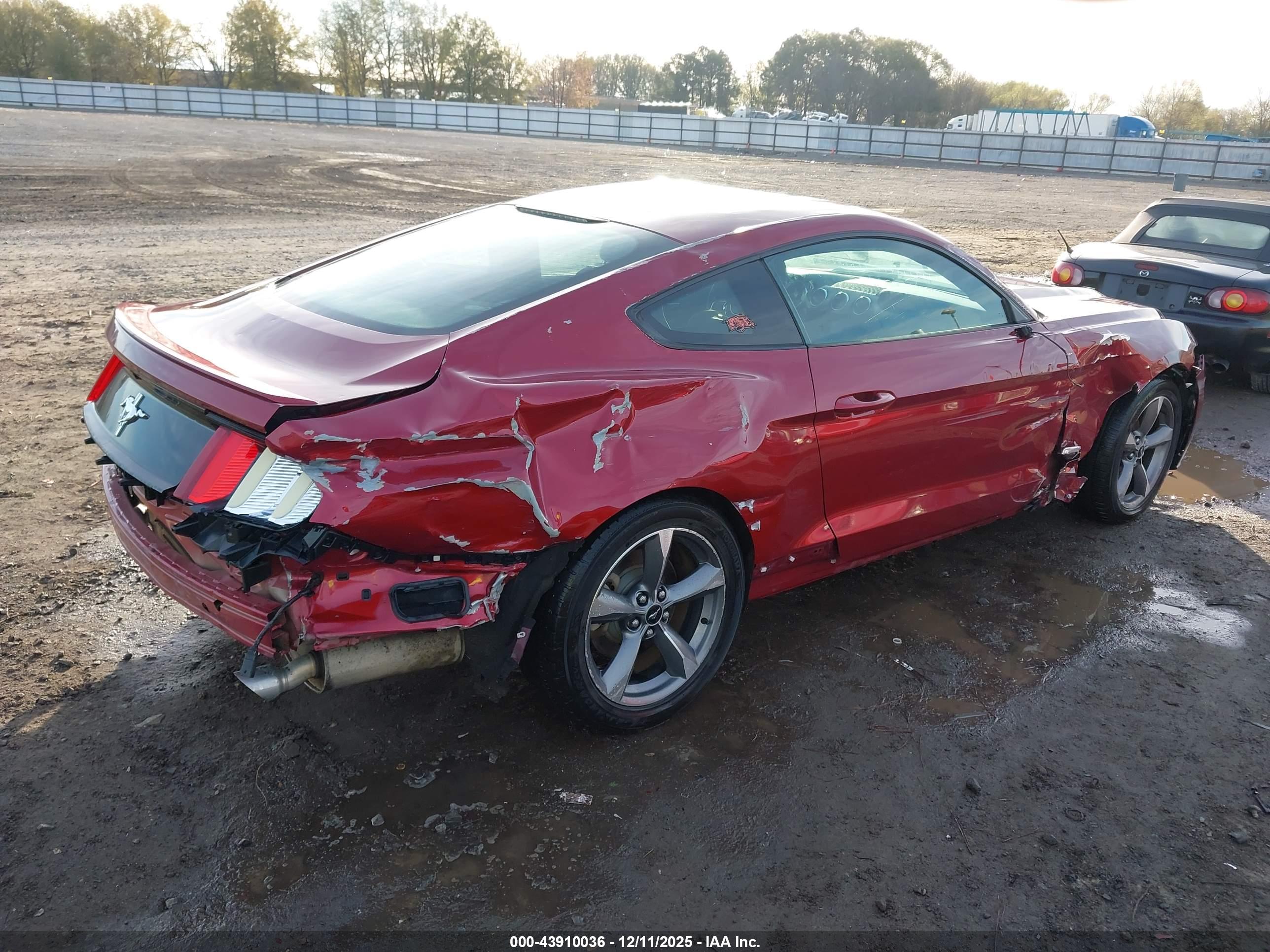 FORD MUSTANG image 4