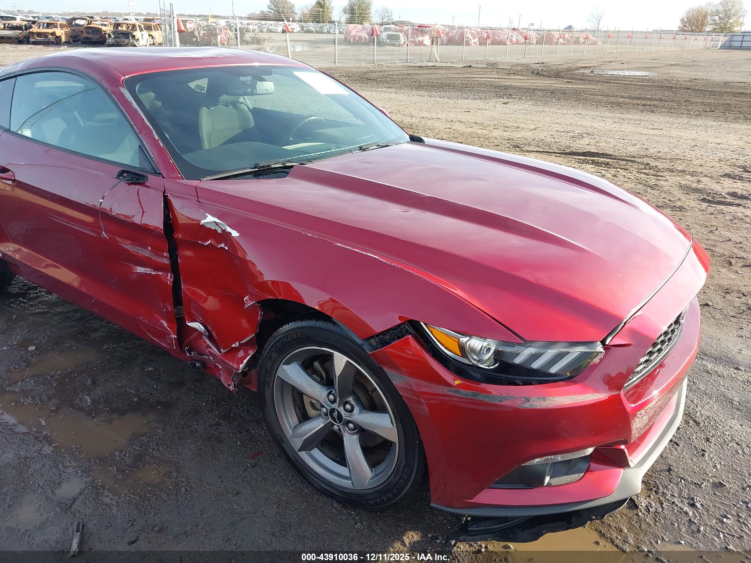 FORD MUSTANG image 6