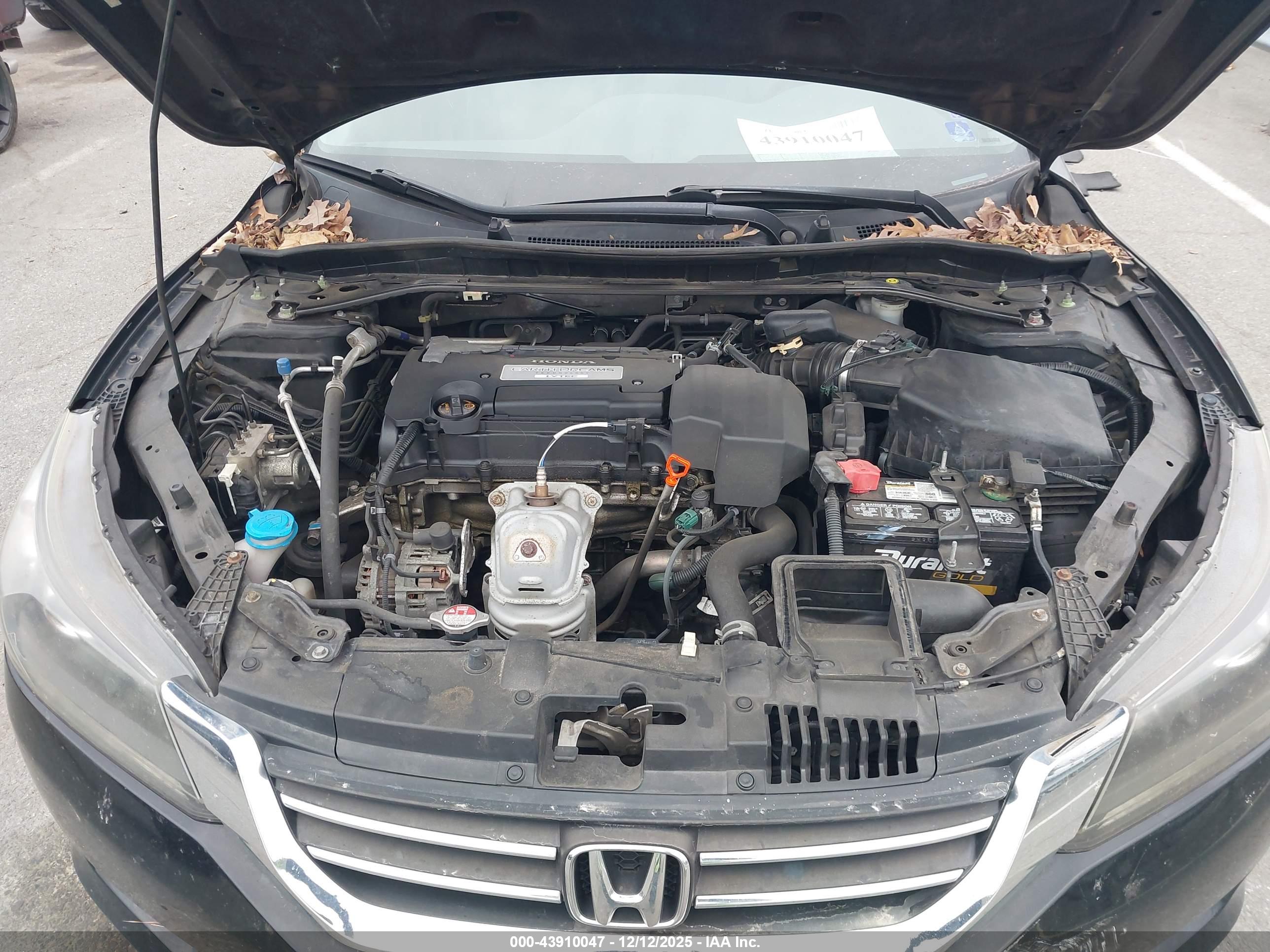 HONDA ACCORD image 10