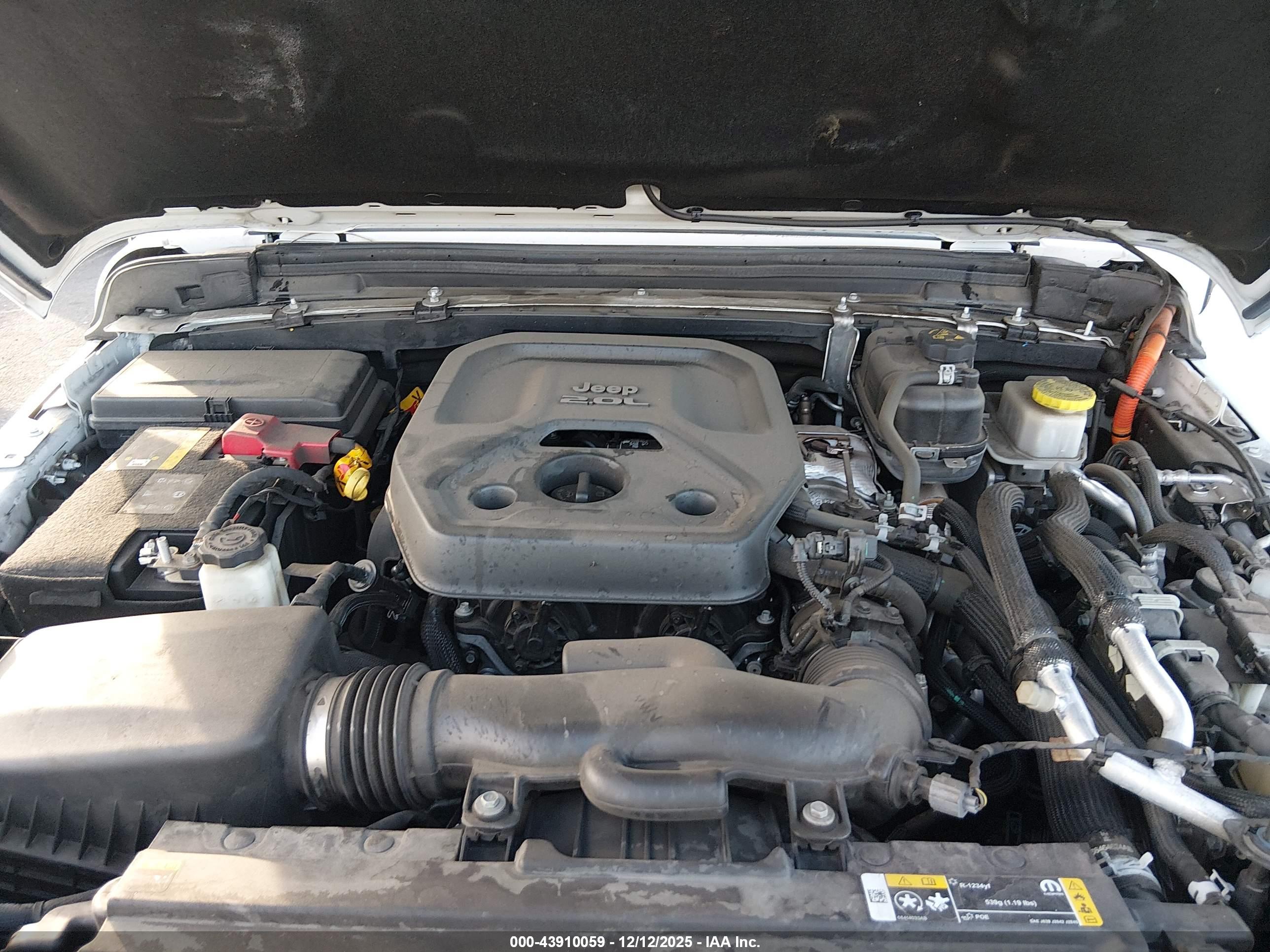 JEEP WRANGLER image 10