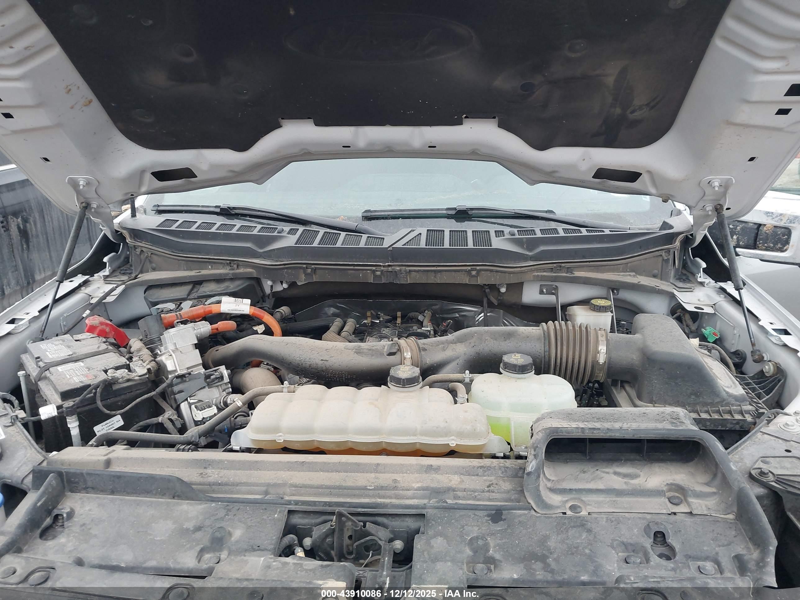 FORD F-150 image 10