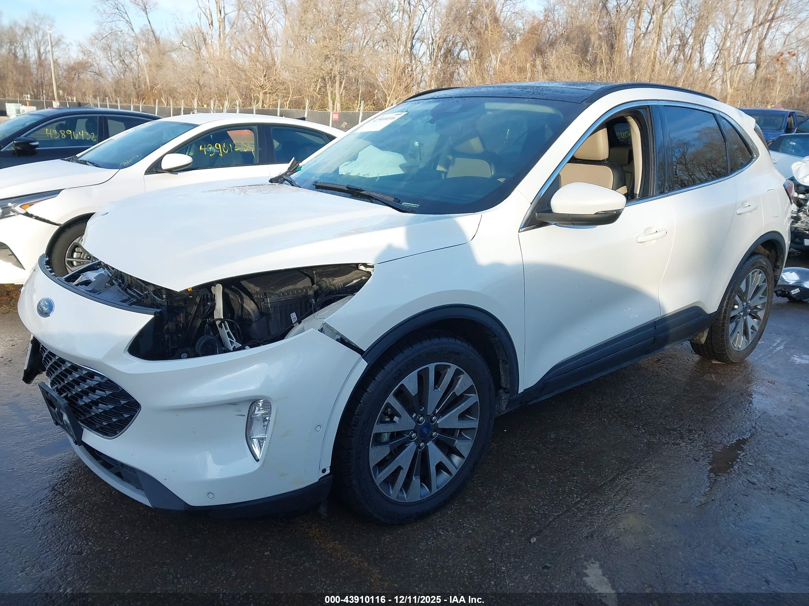FORD ESCAPE image 2