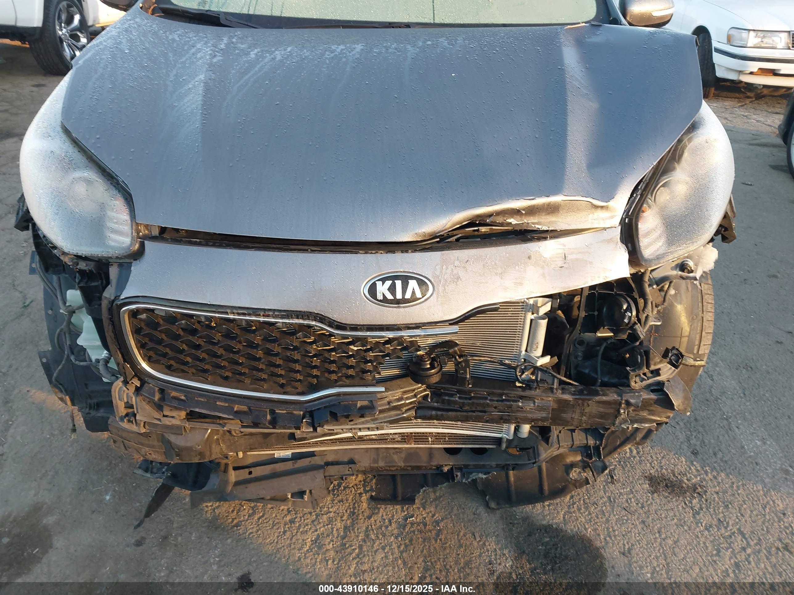 KIA SPORTAGE image 6