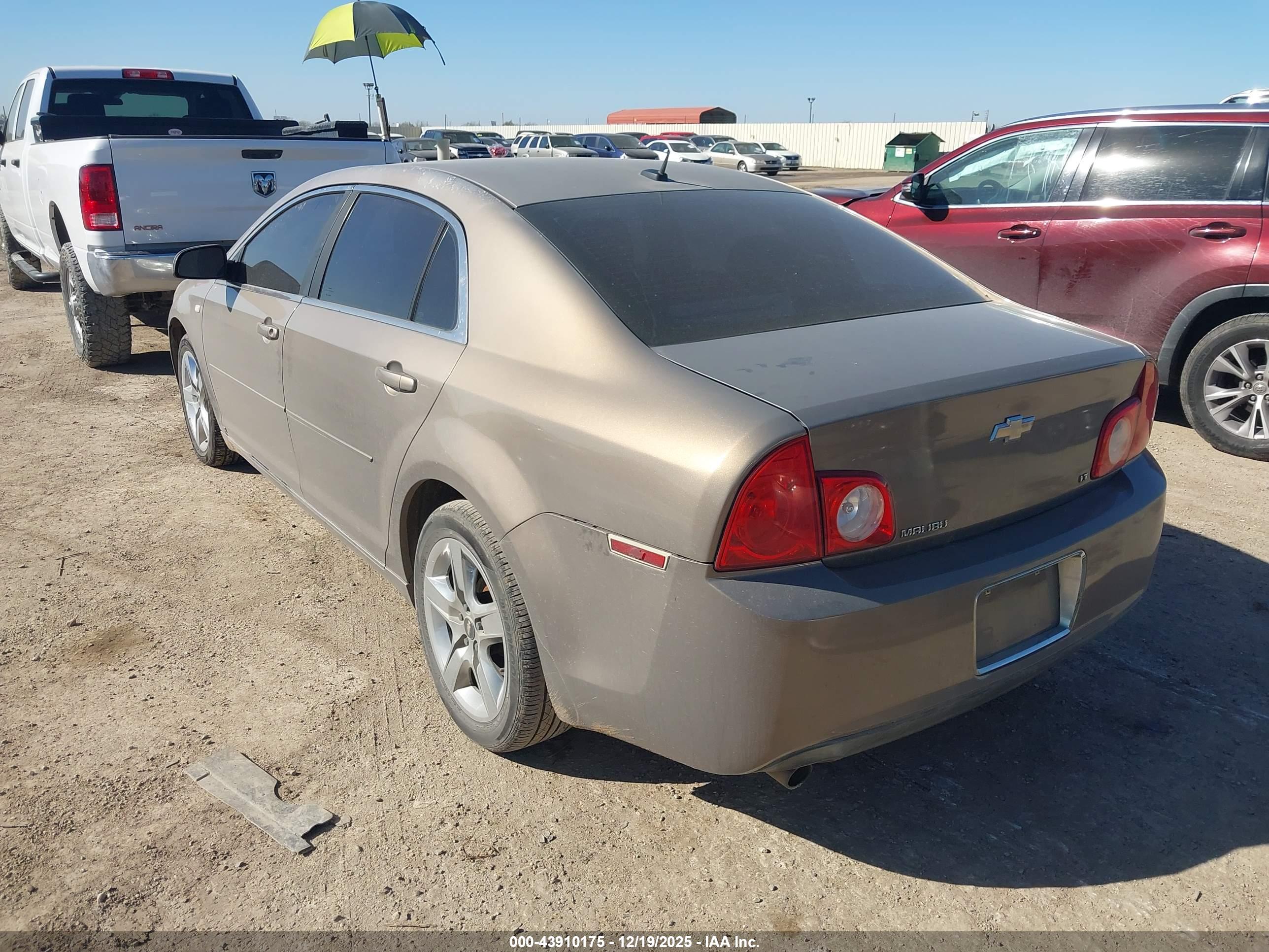 CHEVROLET MALIBU image 3