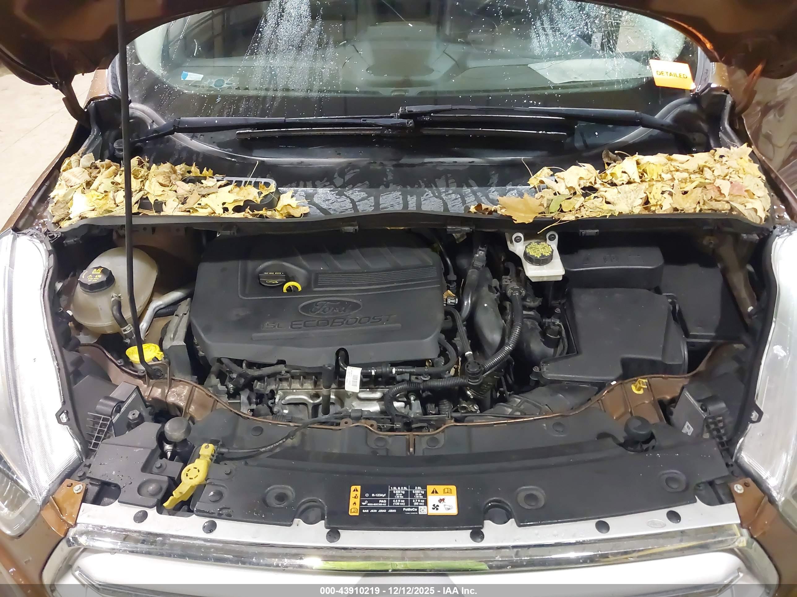 FORD ESCAPE image 10