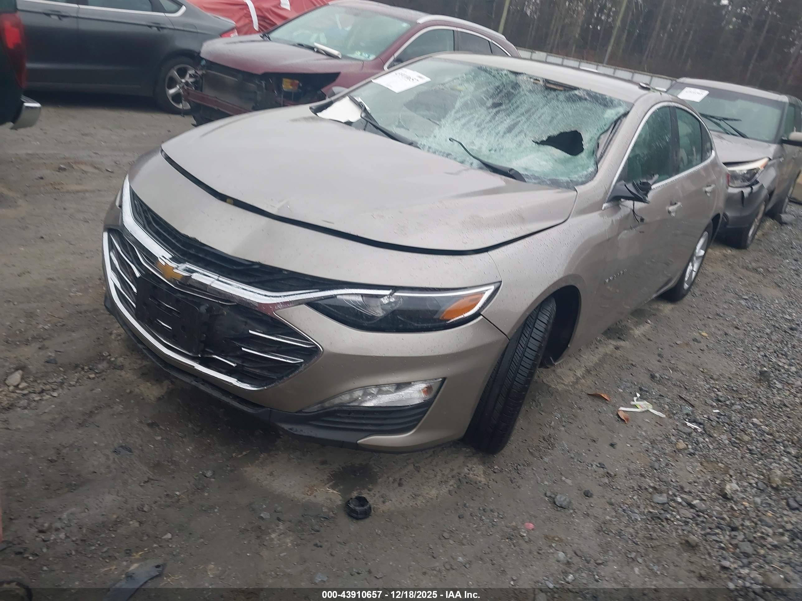 CHEVROLET MALIBU image 2