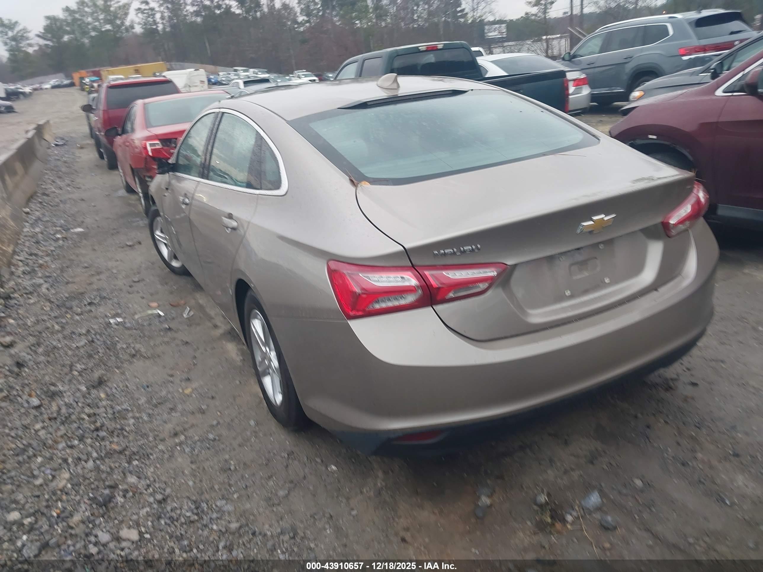 CHEVROLET MALIBU image 3