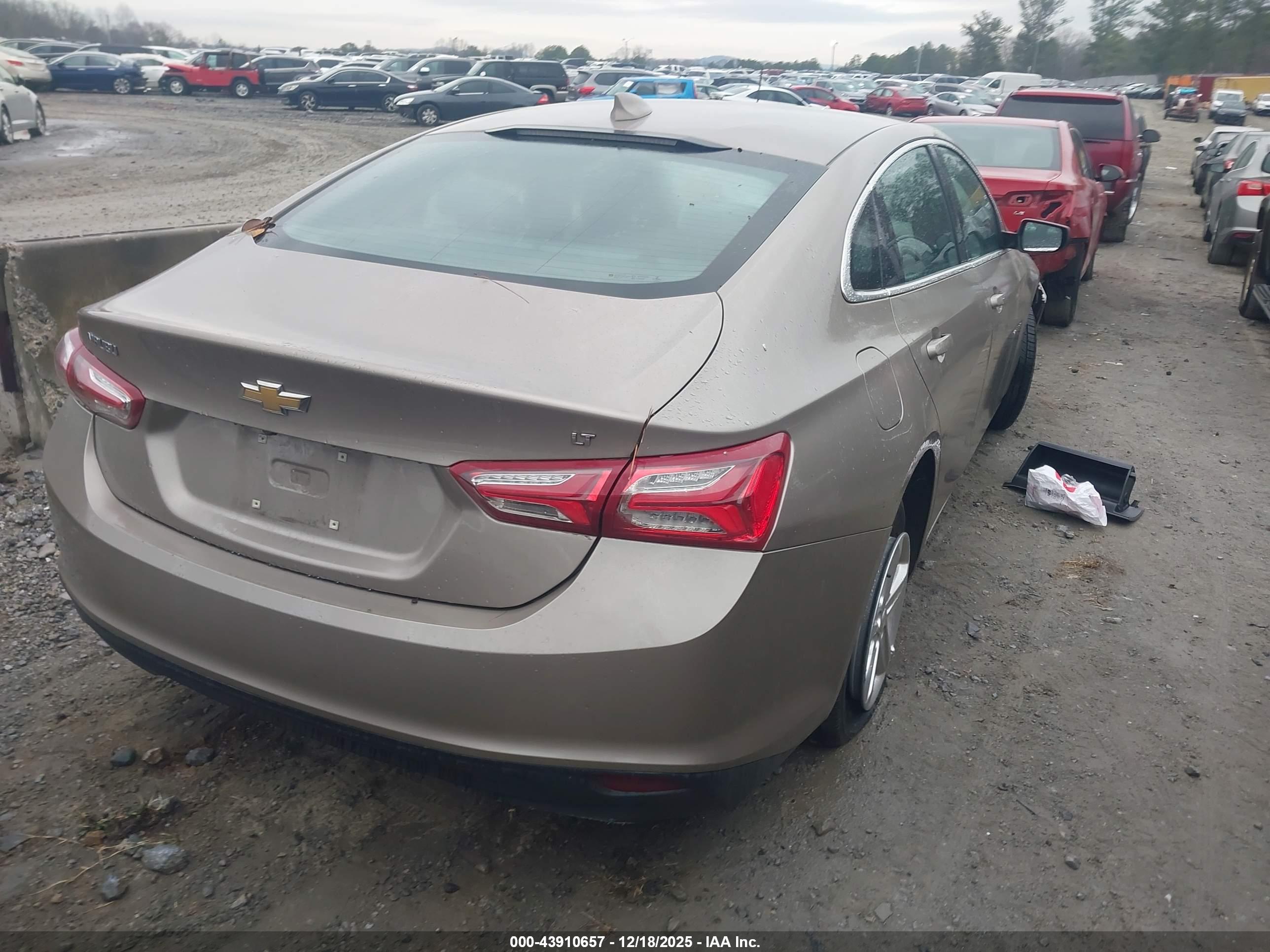 CHEVROLET MALIBU image 4