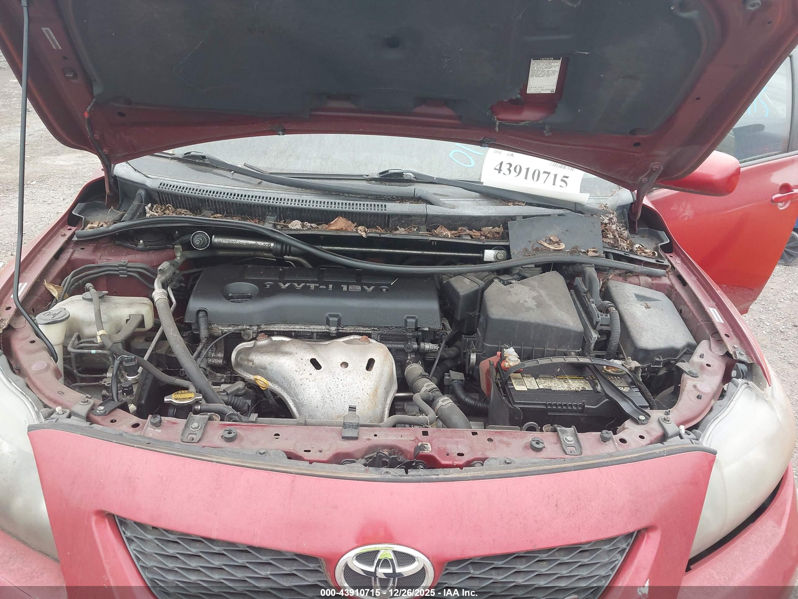 TOYOTA COROLLA image 10