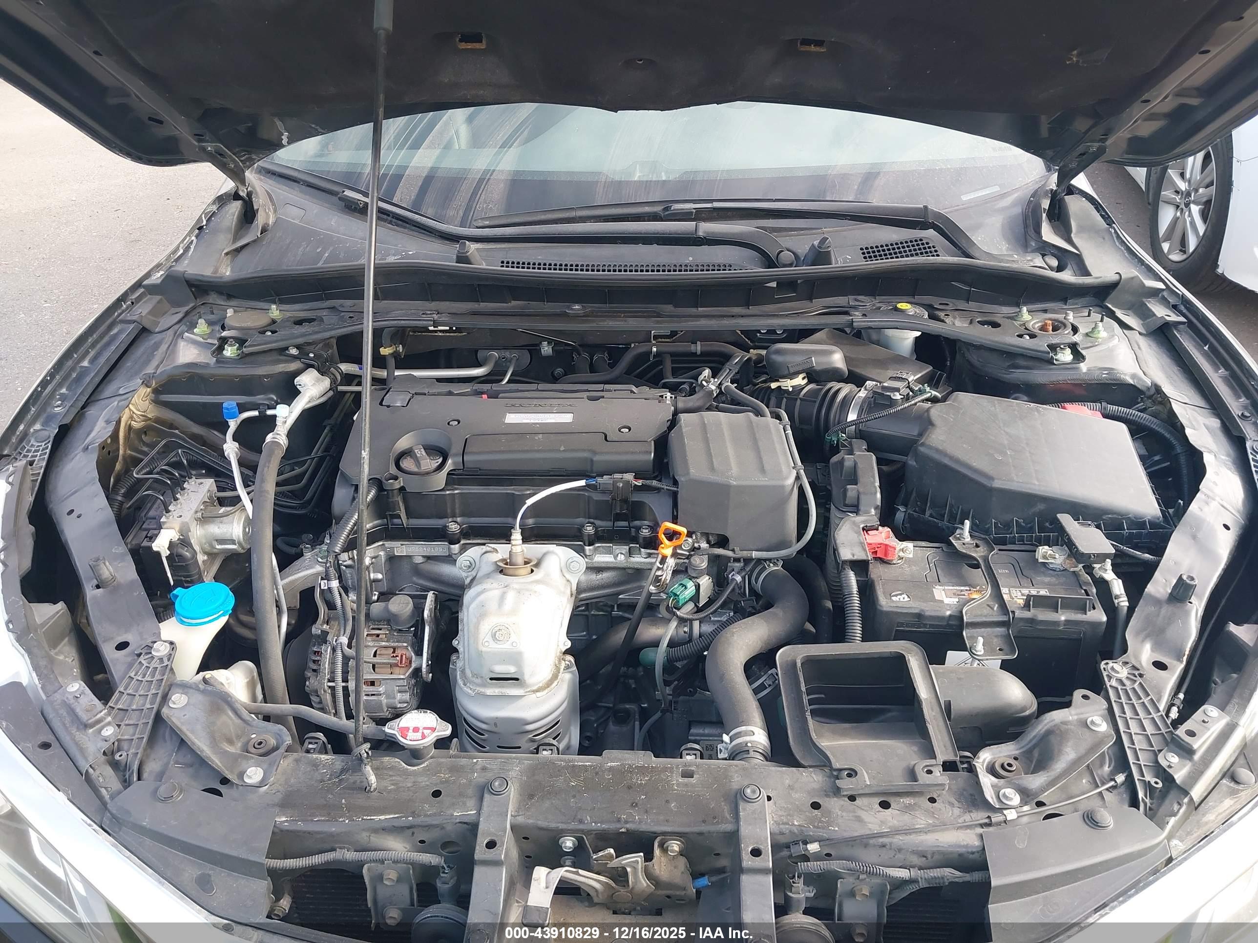 HONDA ACCORD image 10