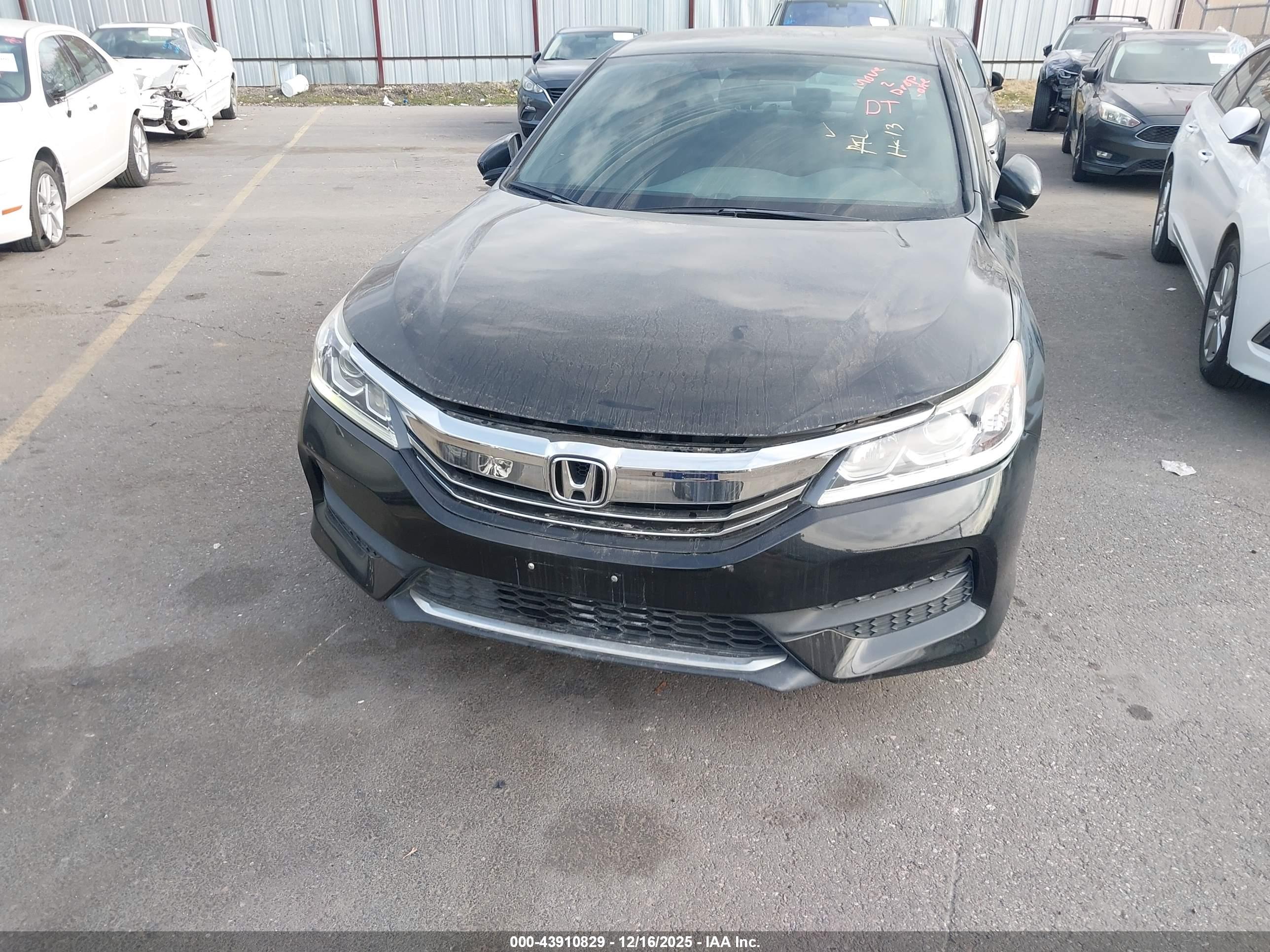 HONDA ACCORD image 6