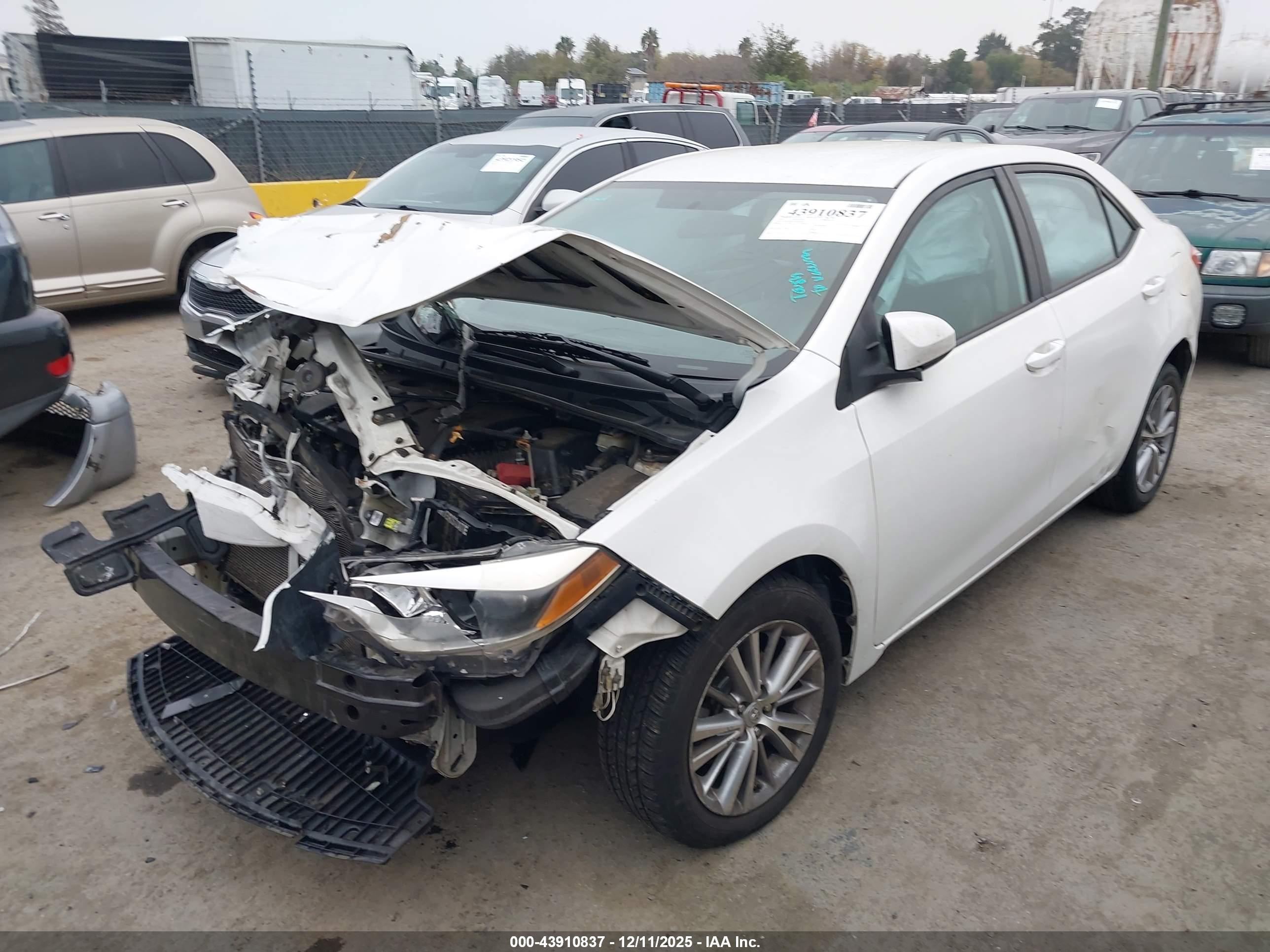 TOYOTA COROLLA image 6