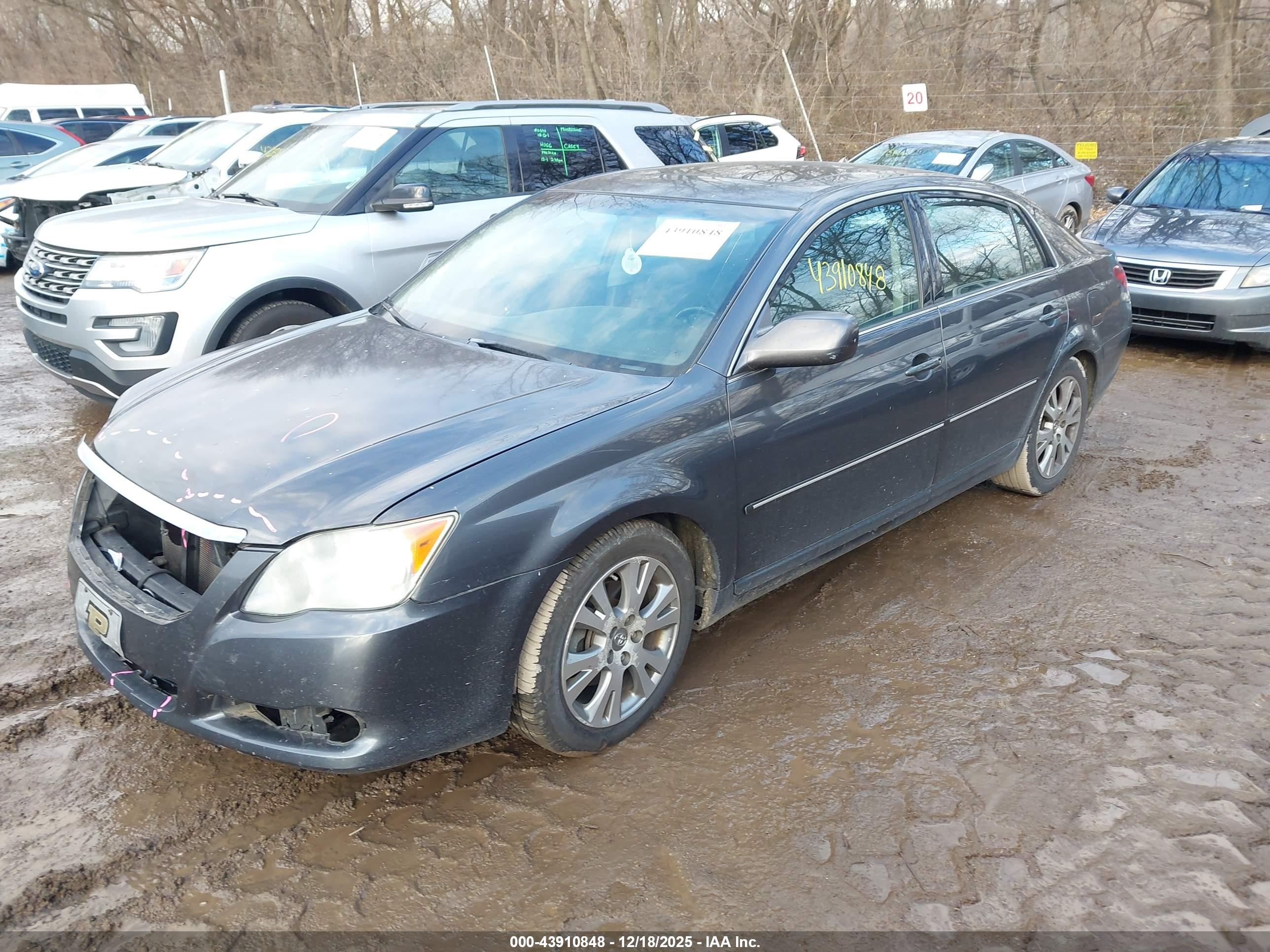 TOYOTA AVALON image 2