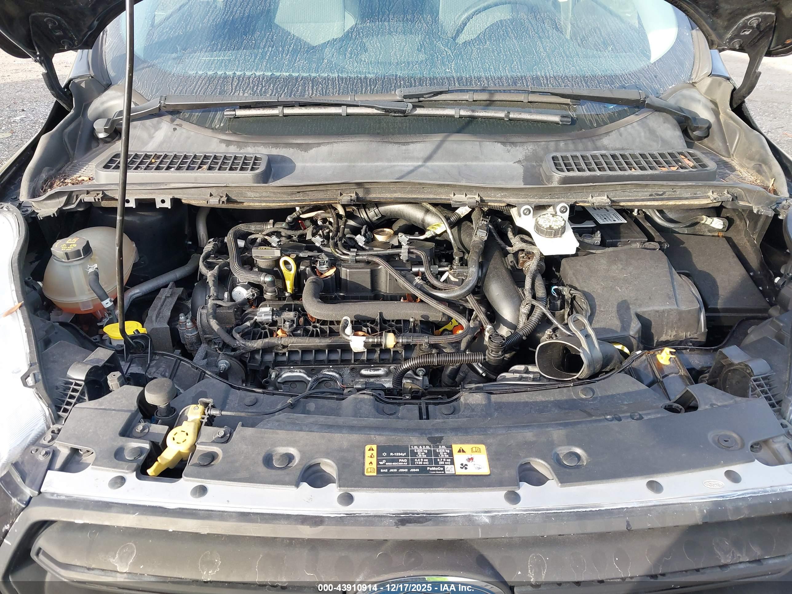 FORD ESCAPE image 10