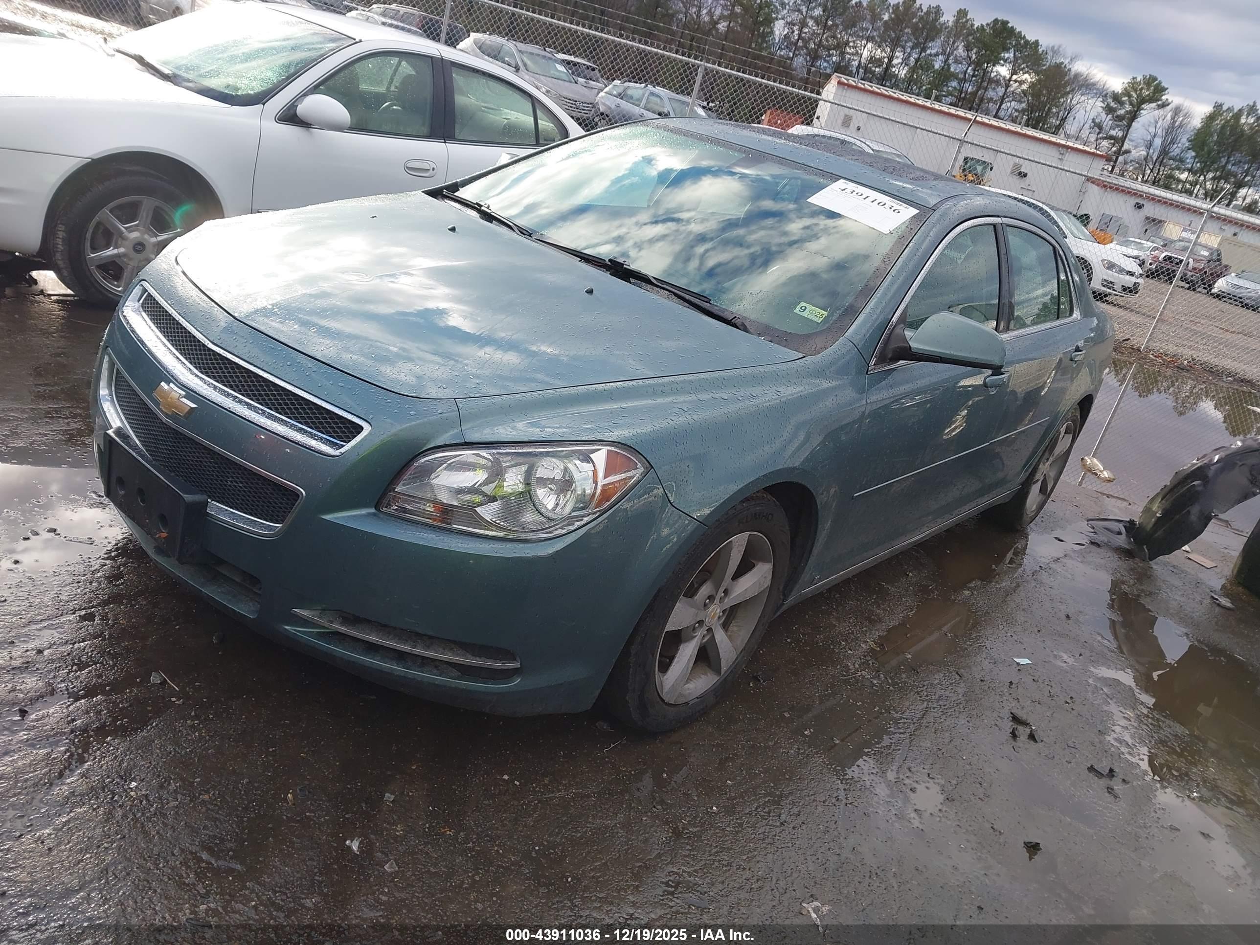 CHEVROLET MALIBU image 2