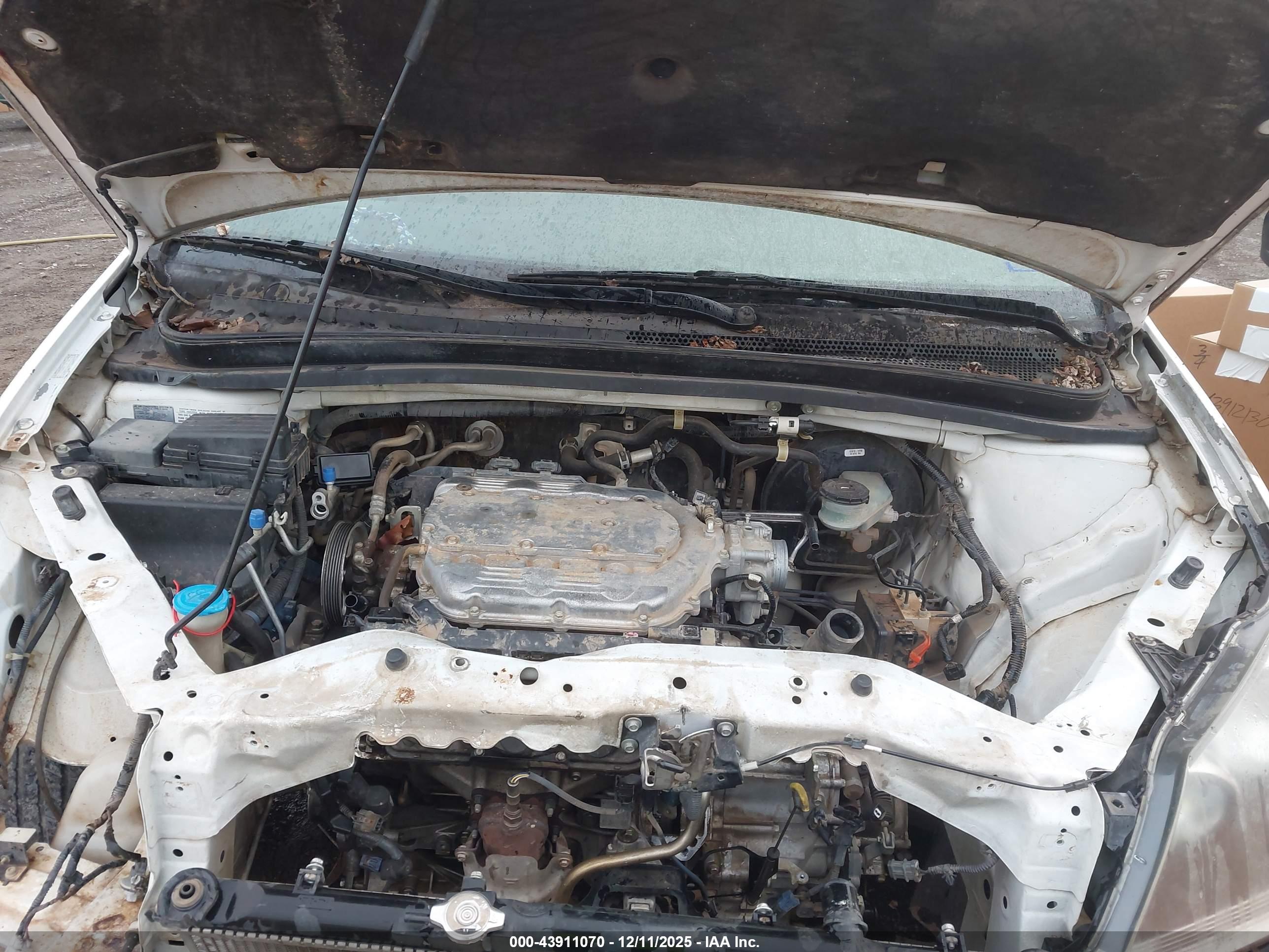 HONDA ODYSSEY image 10