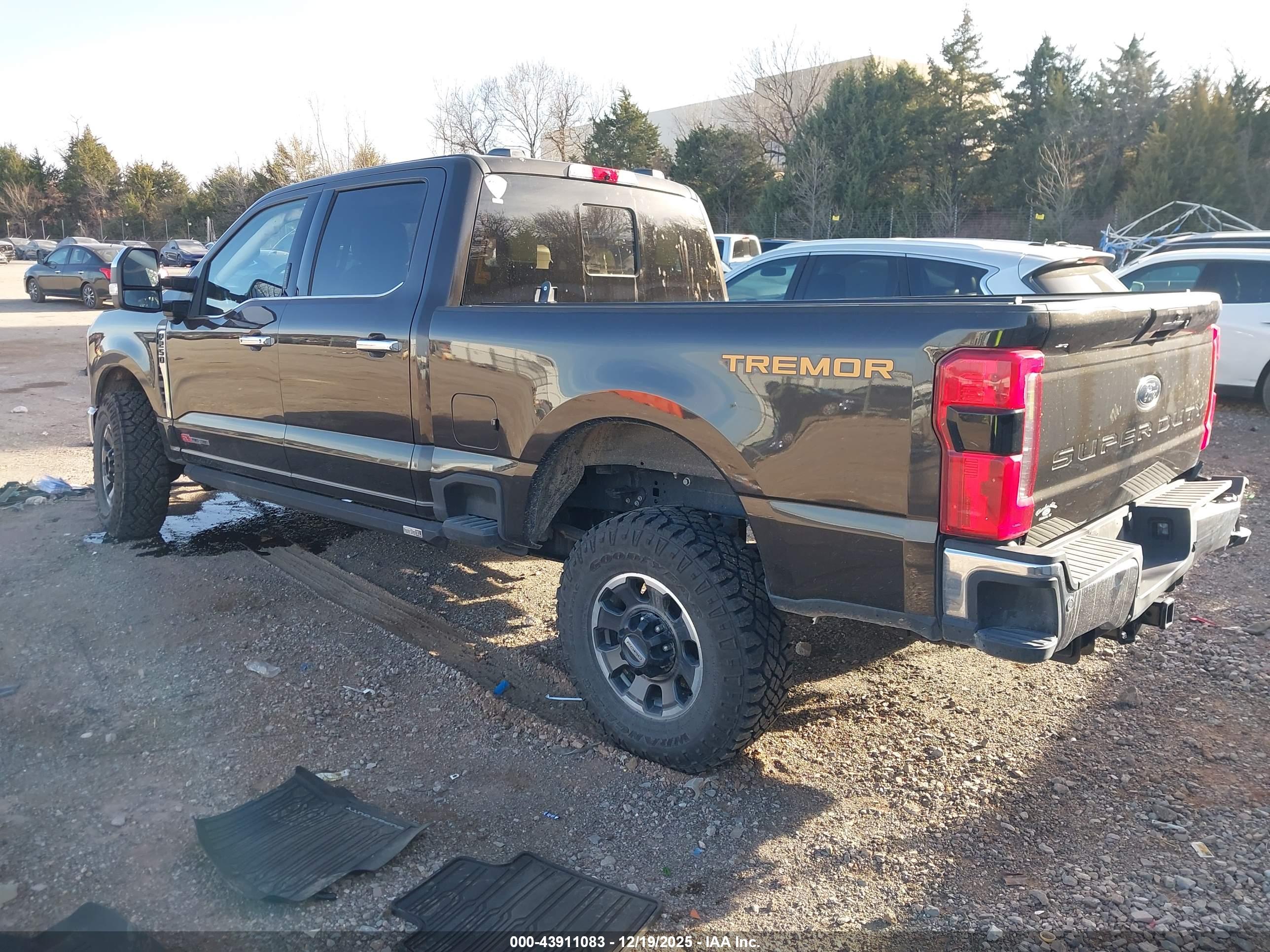 FORD F-250 image 3