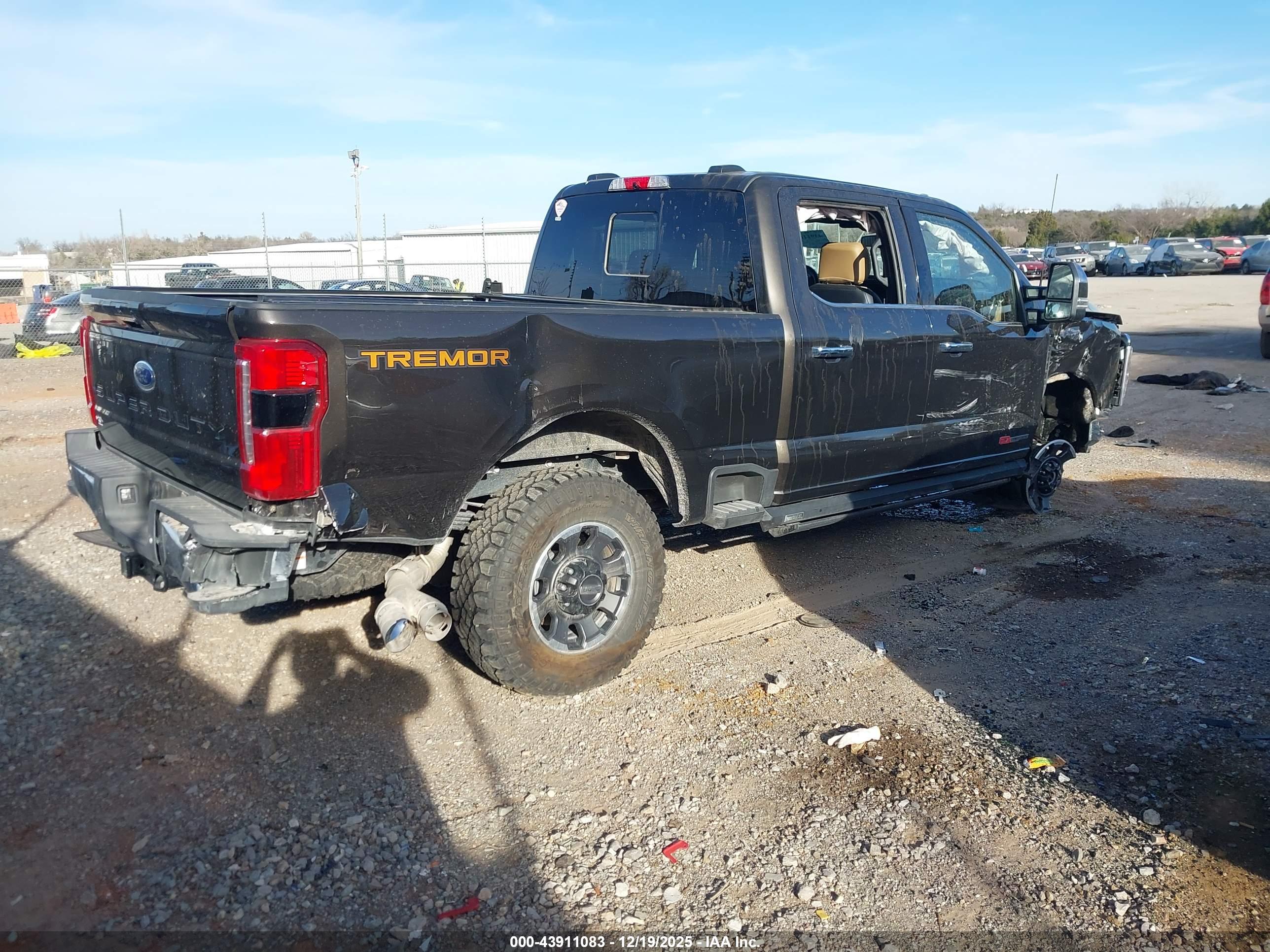 FORD F-250 image 4