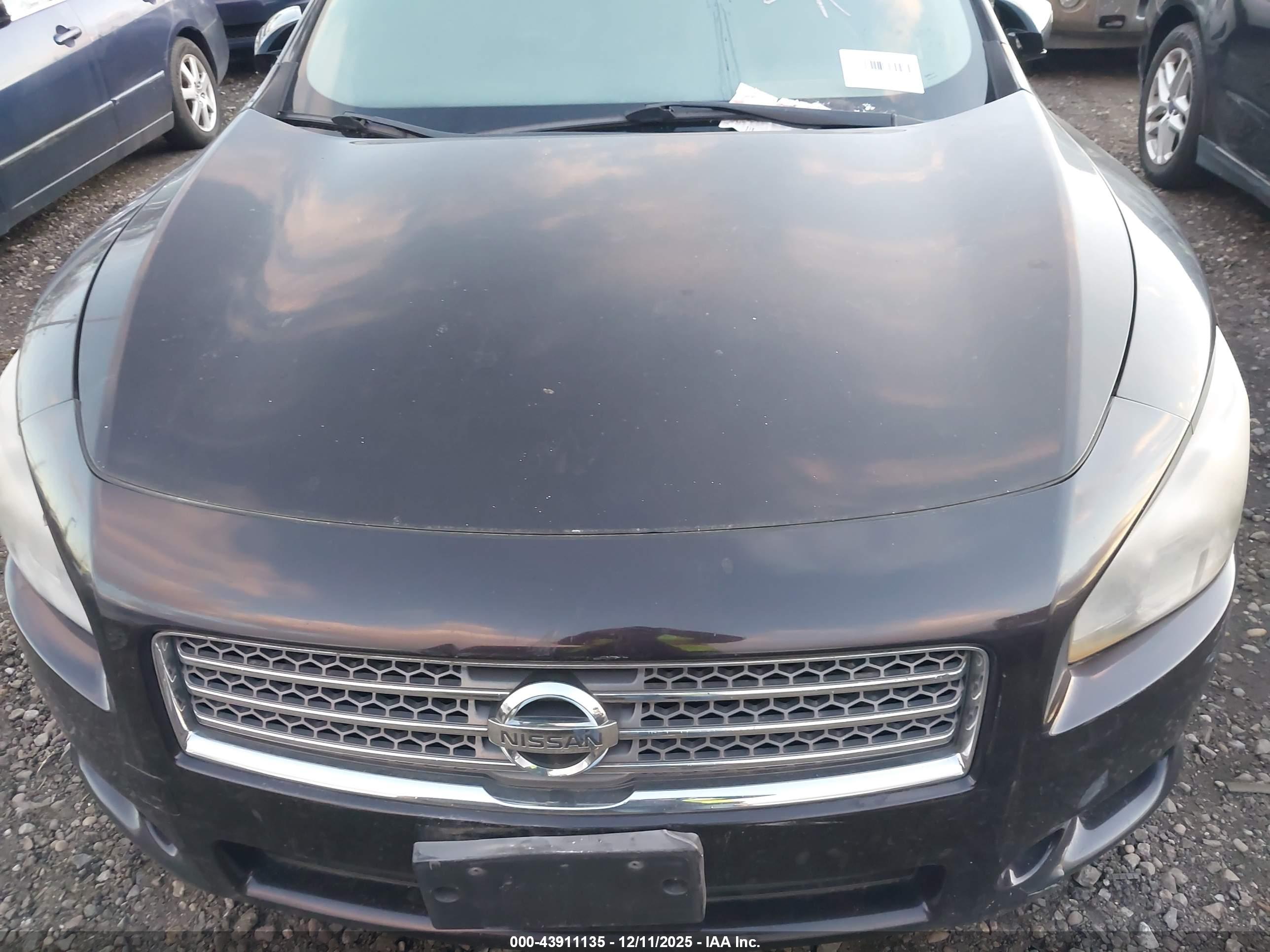 NISSAN MAXIMA image 10