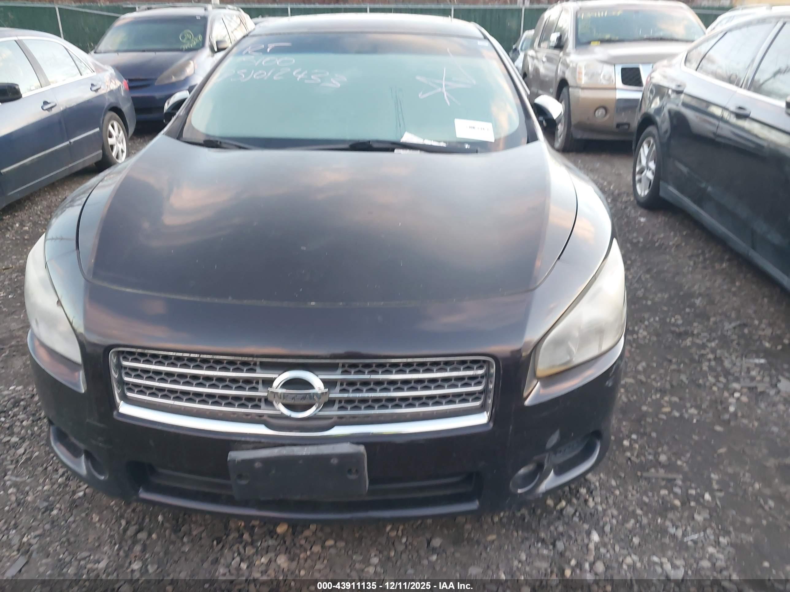 NISSAN MAXIMA image 6