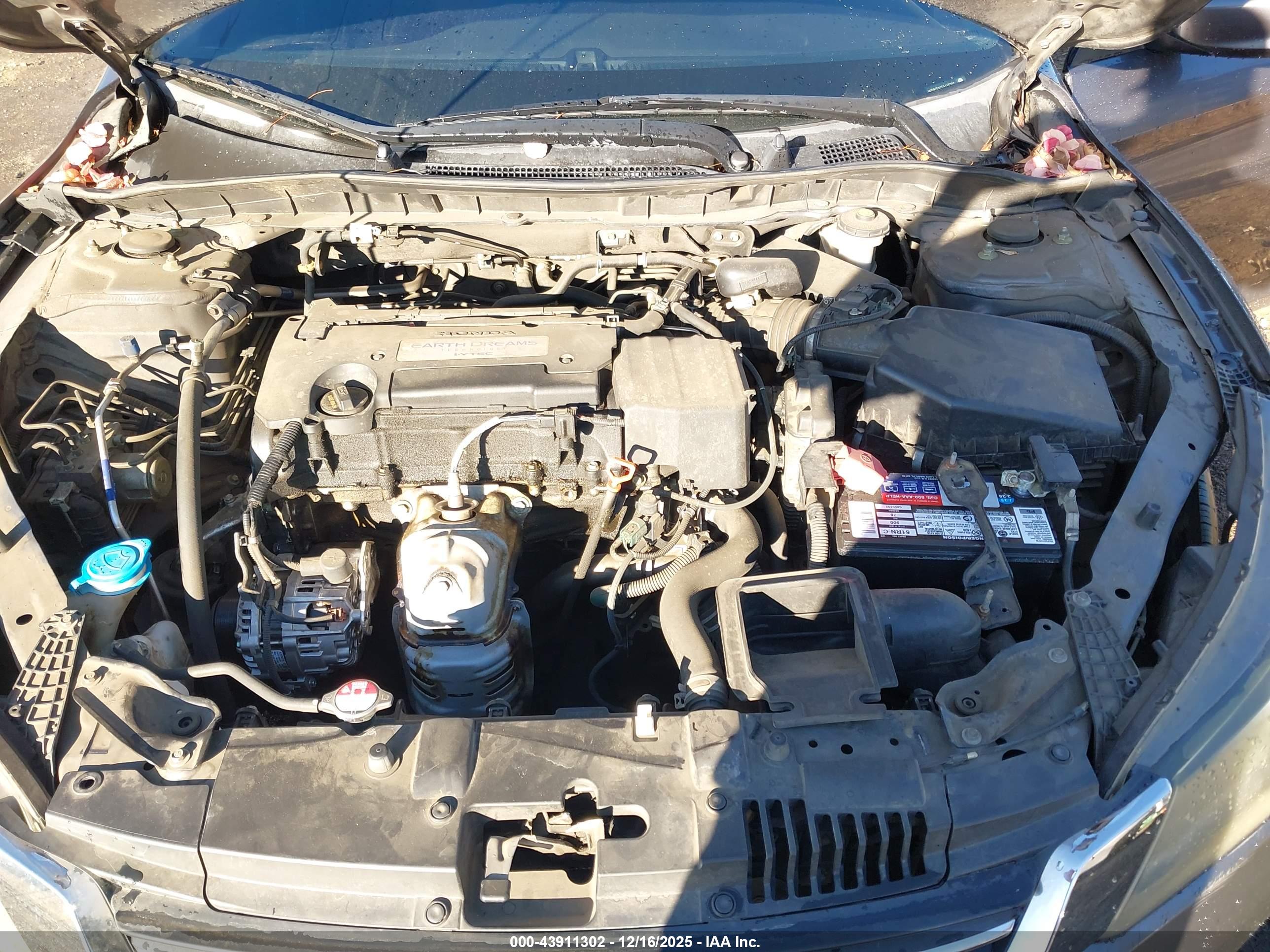 HONDA ACCORD image 10