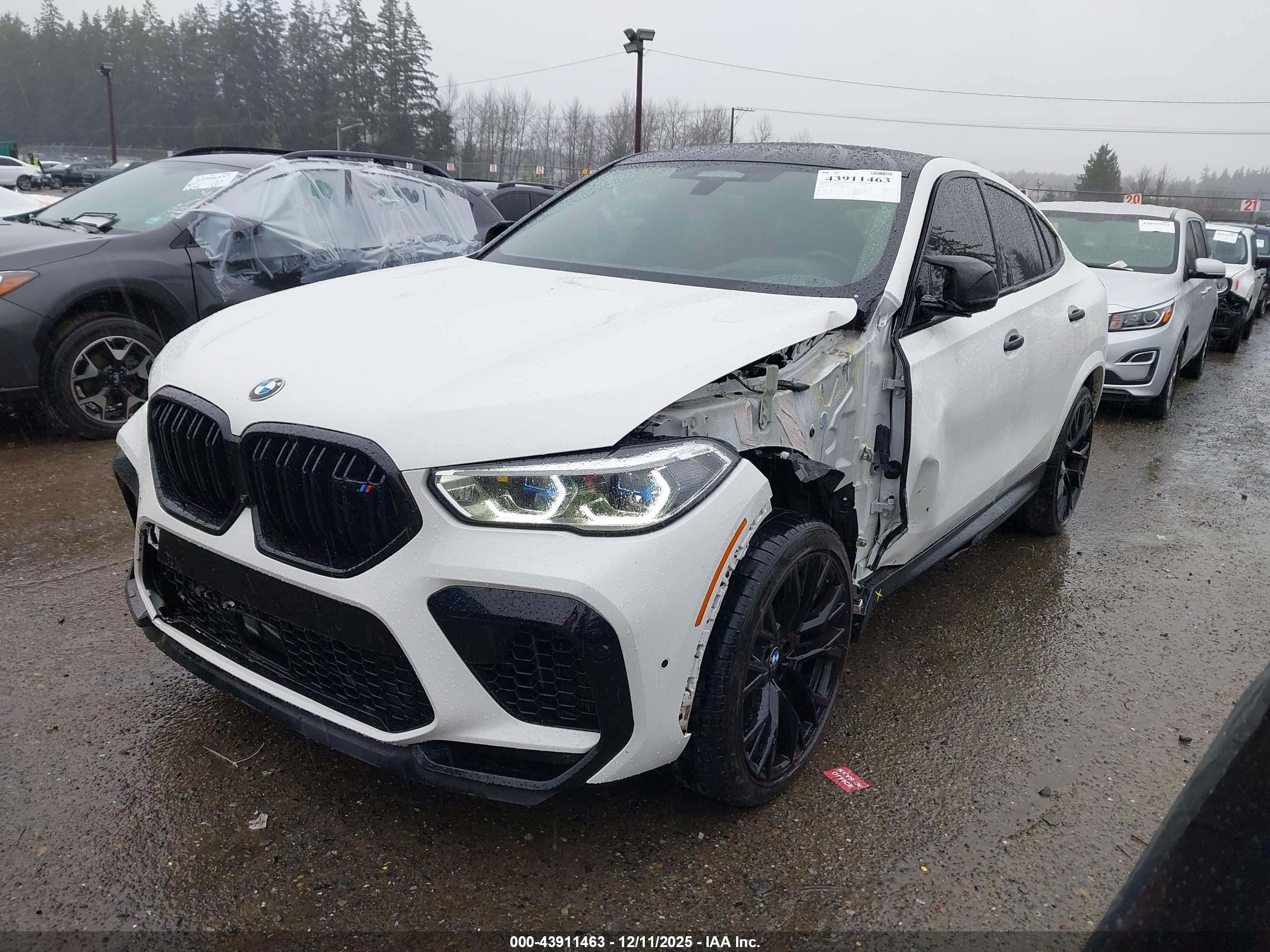 BMW X6 image 2
