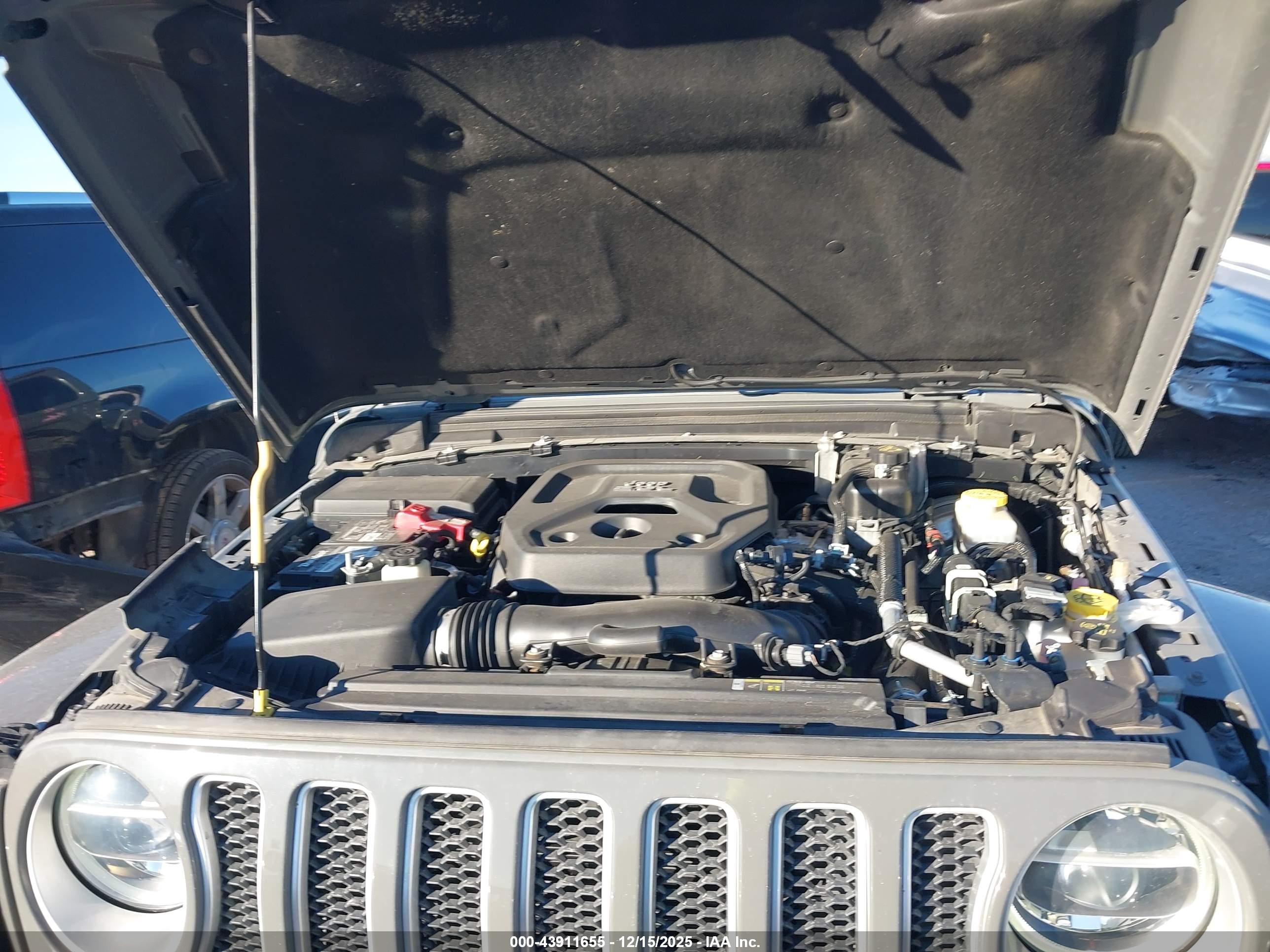 JEEP WRANGLER image 10