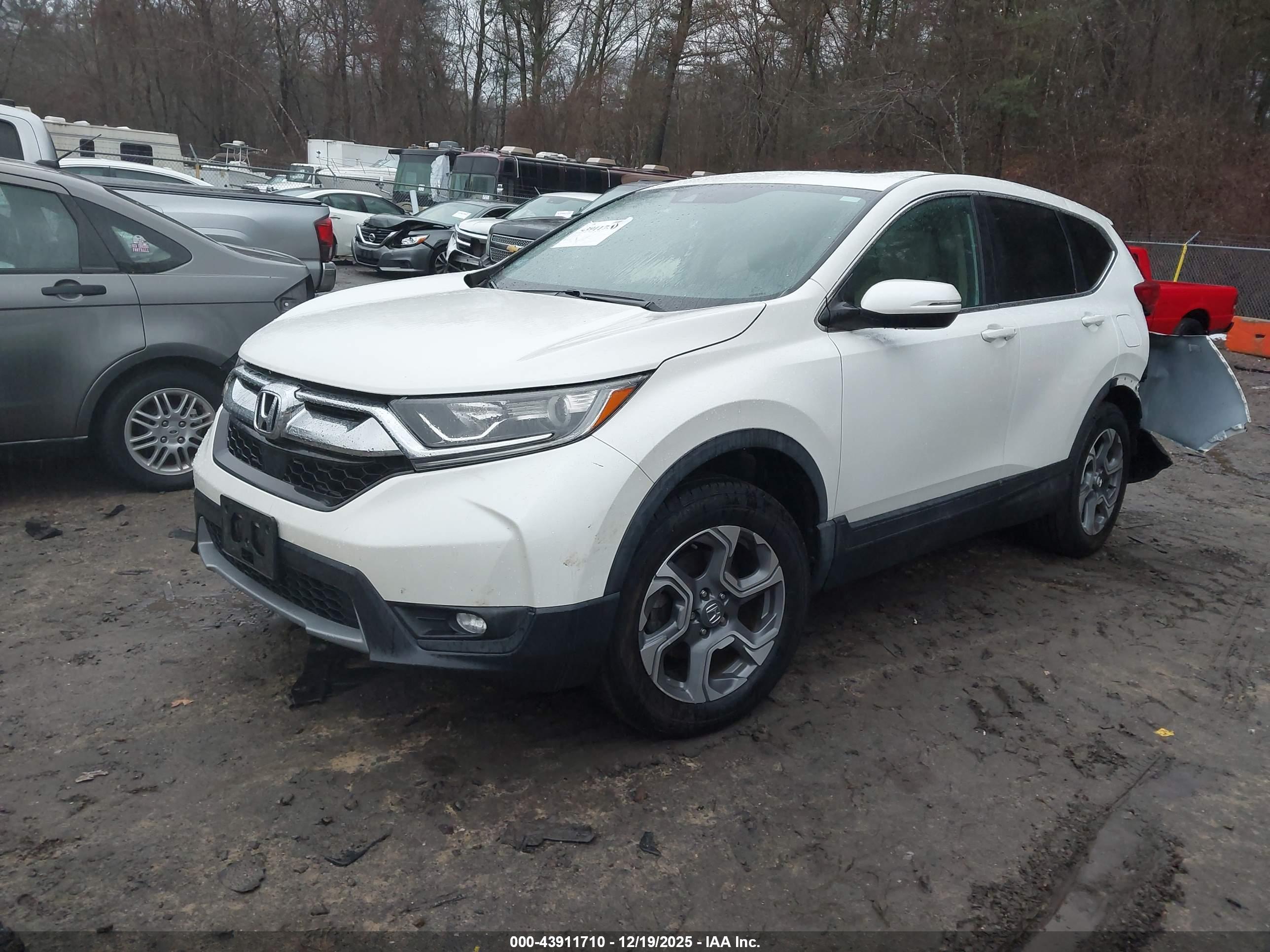 HONDA CR-V image 2