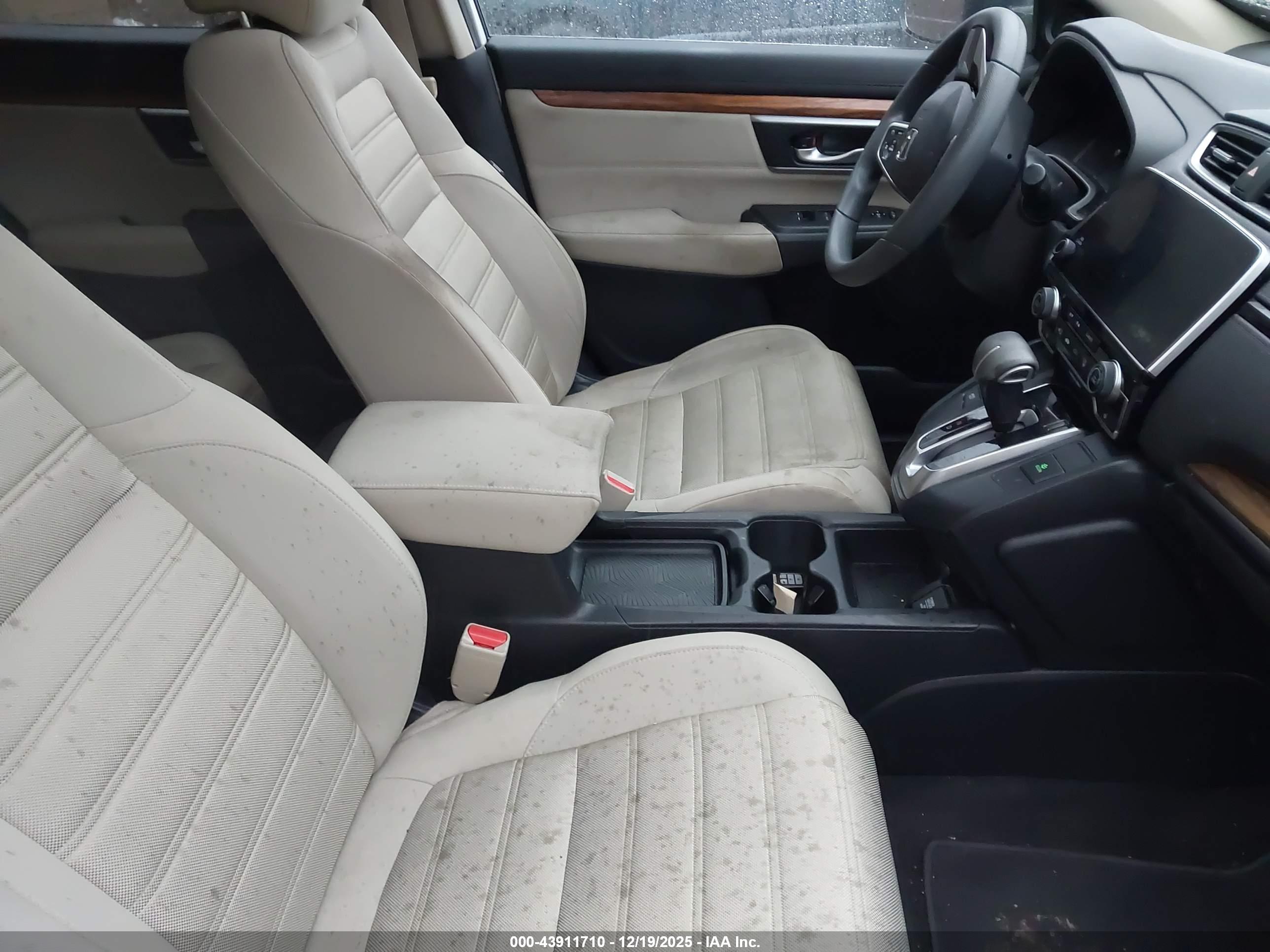 HONDA CR-V image 5