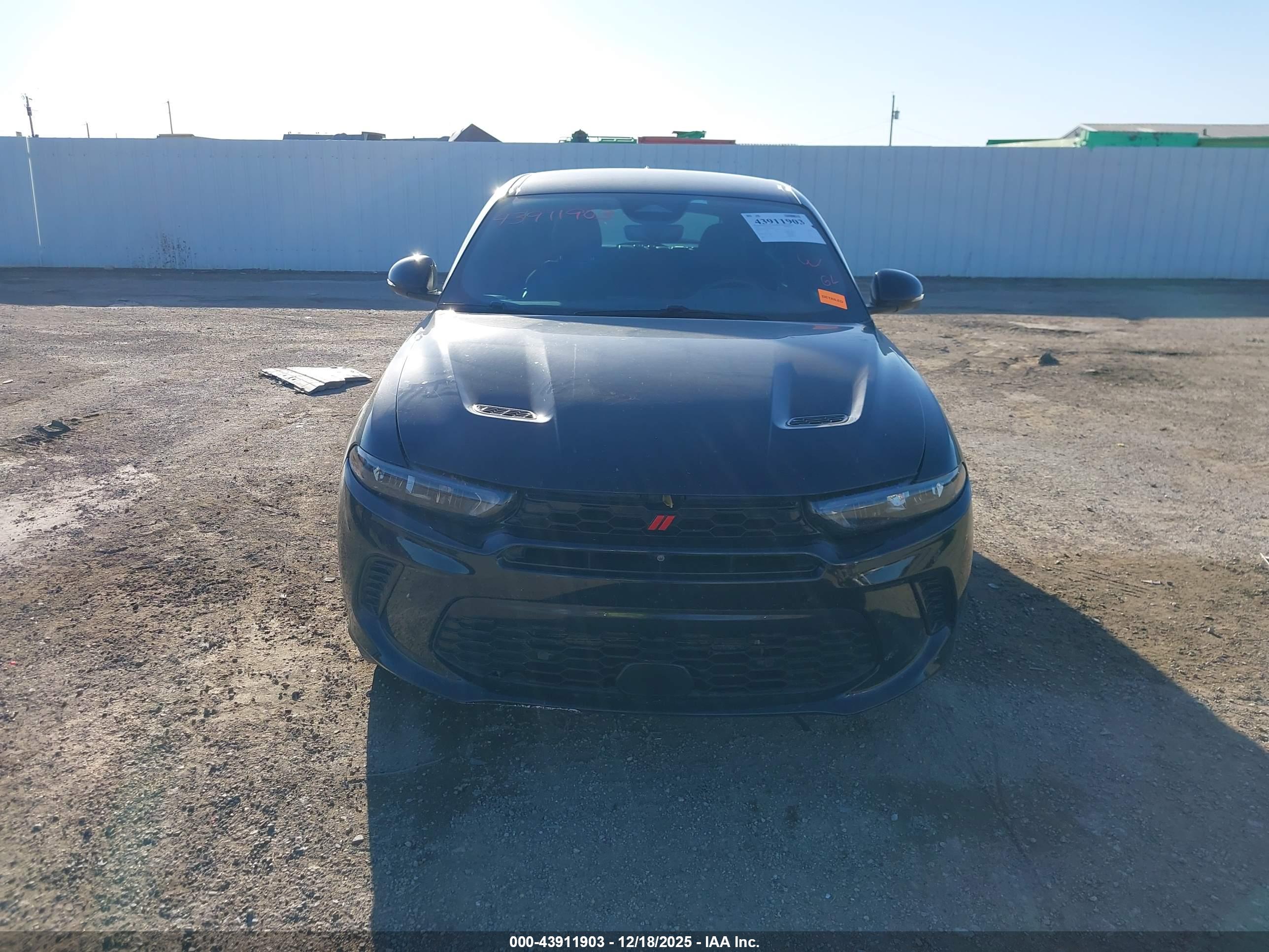 DODGE HORNET image 6