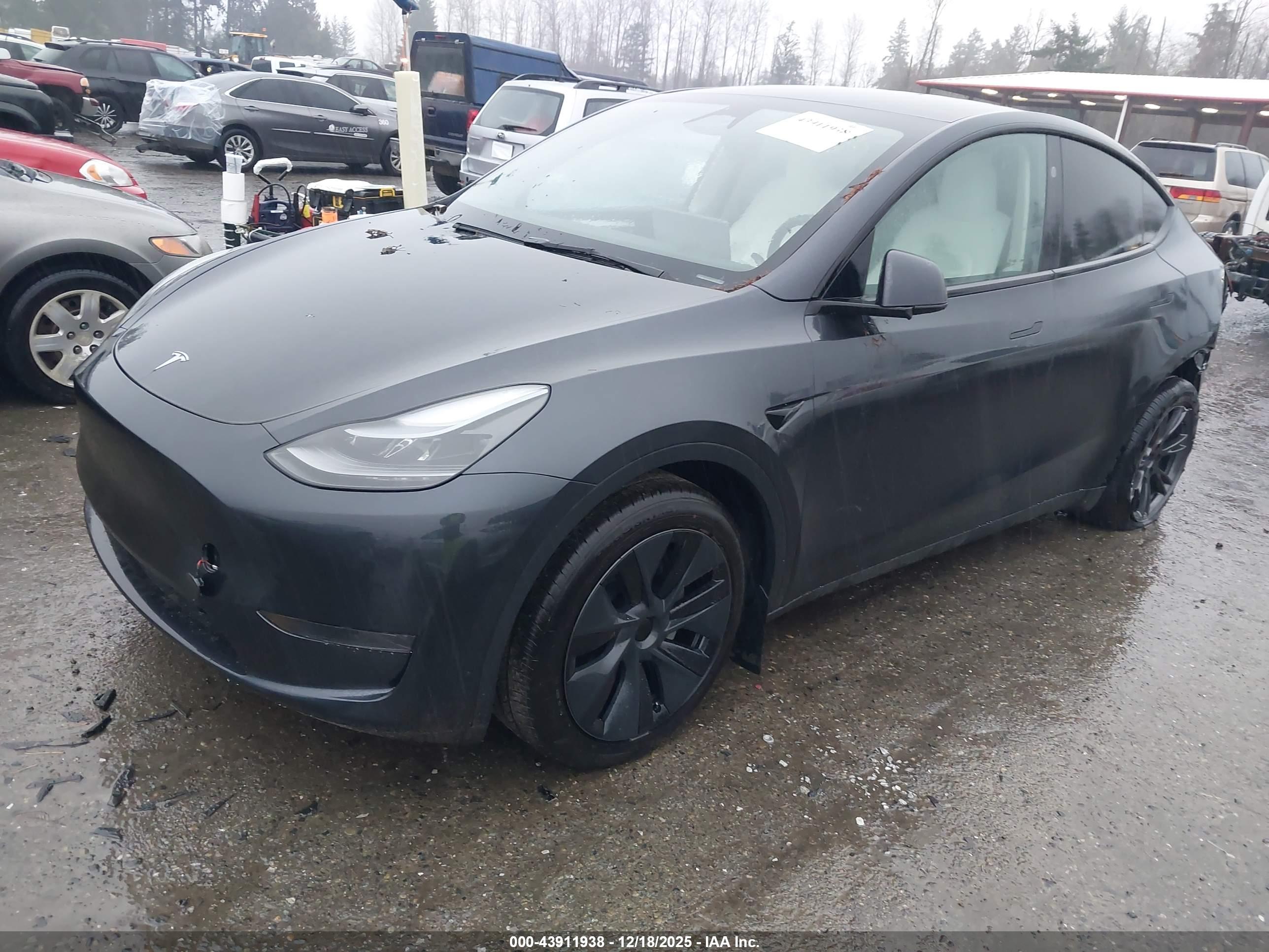 TESLA MODEL image 2