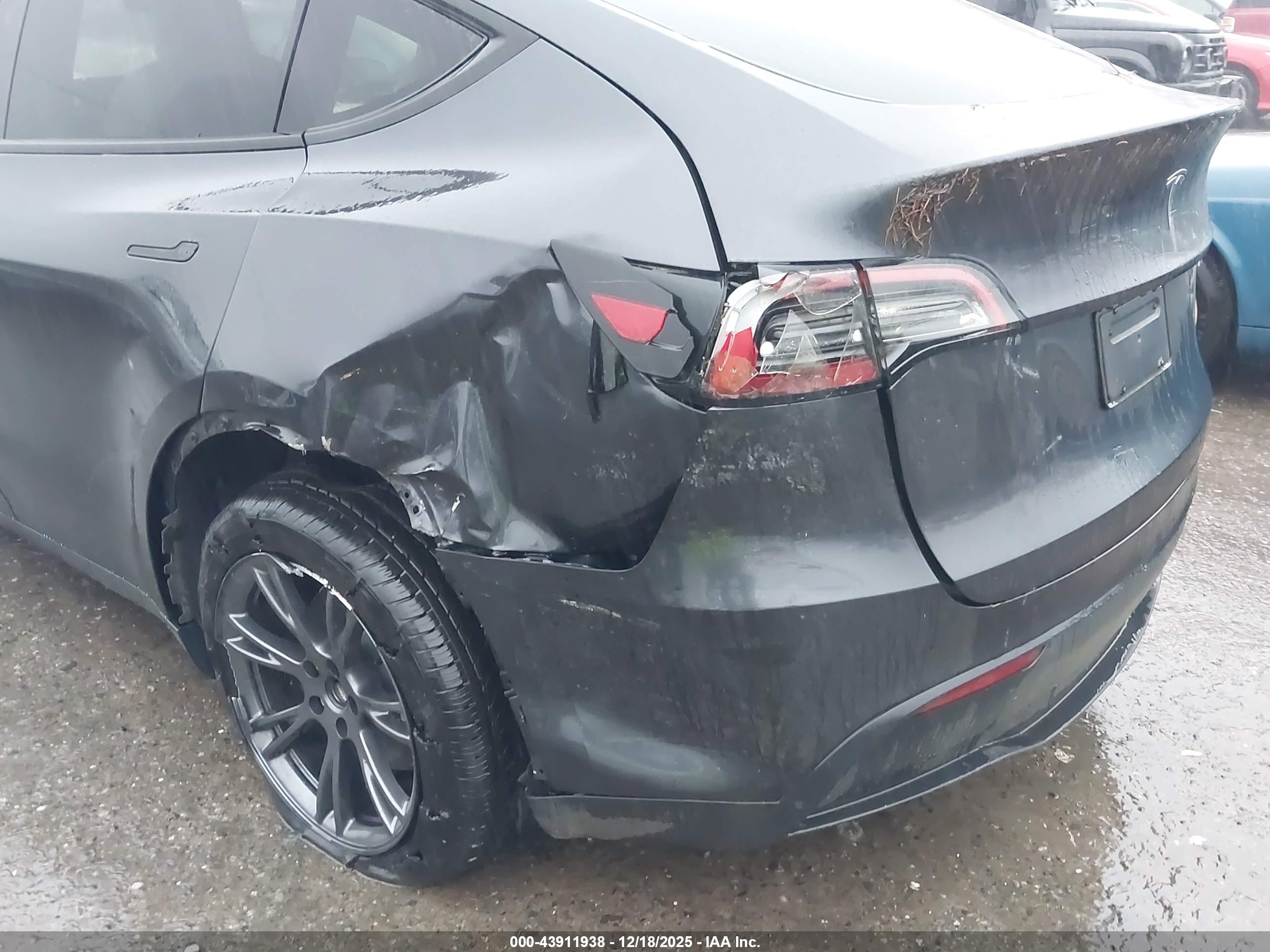 TESLA MODEL image 6