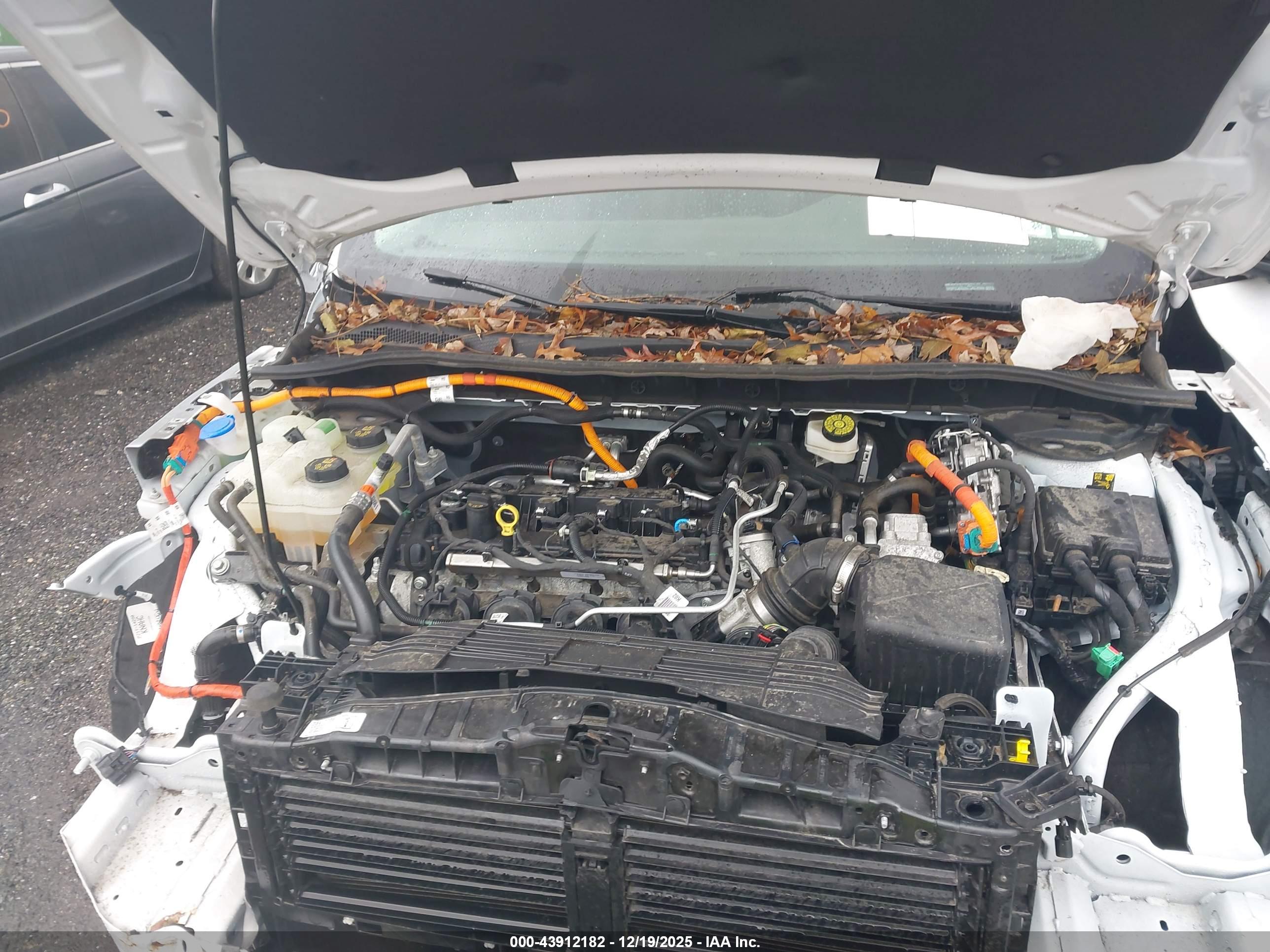 FORD ESCAPE image 10