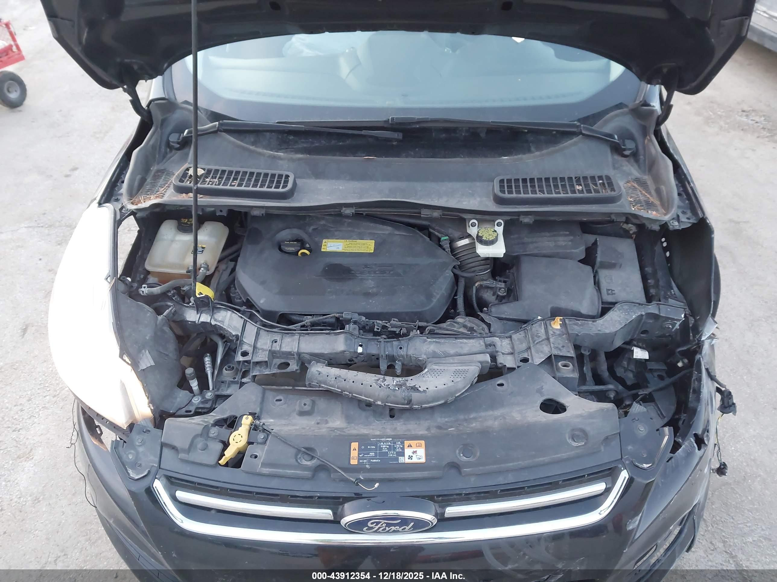FORD ESCAPE image 10