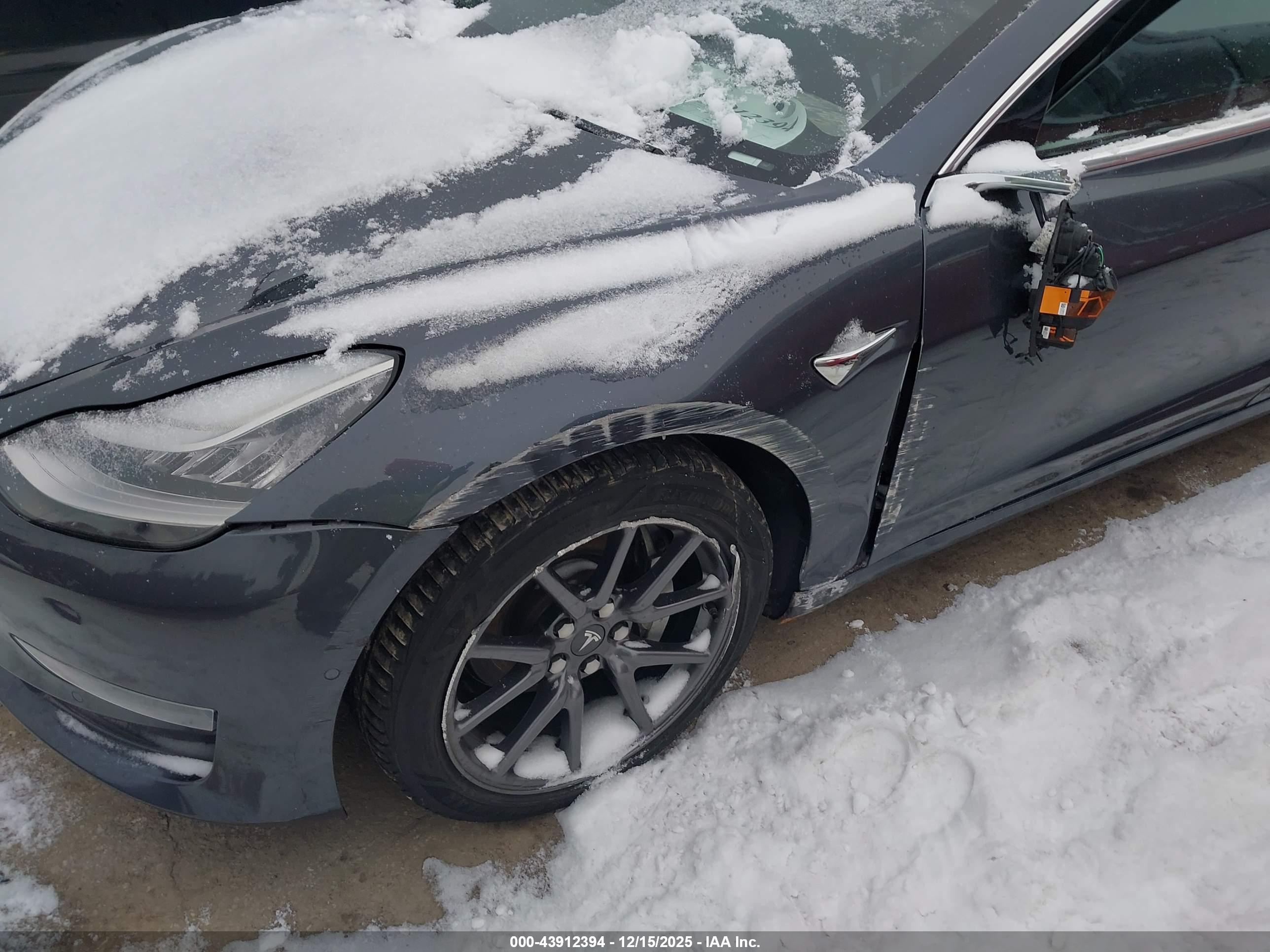TESLA MODEL image 6