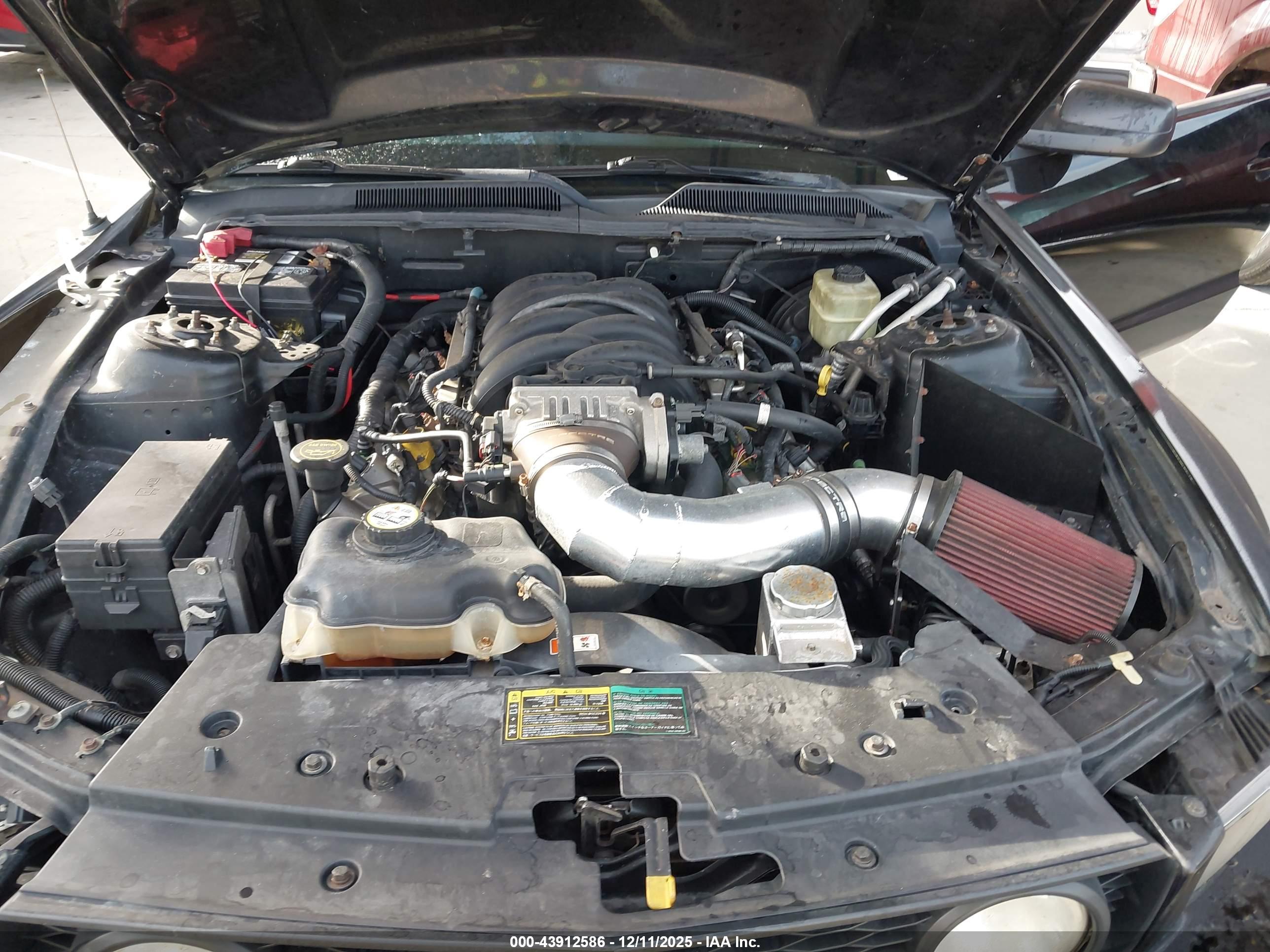 FORD MUSTANG image 10