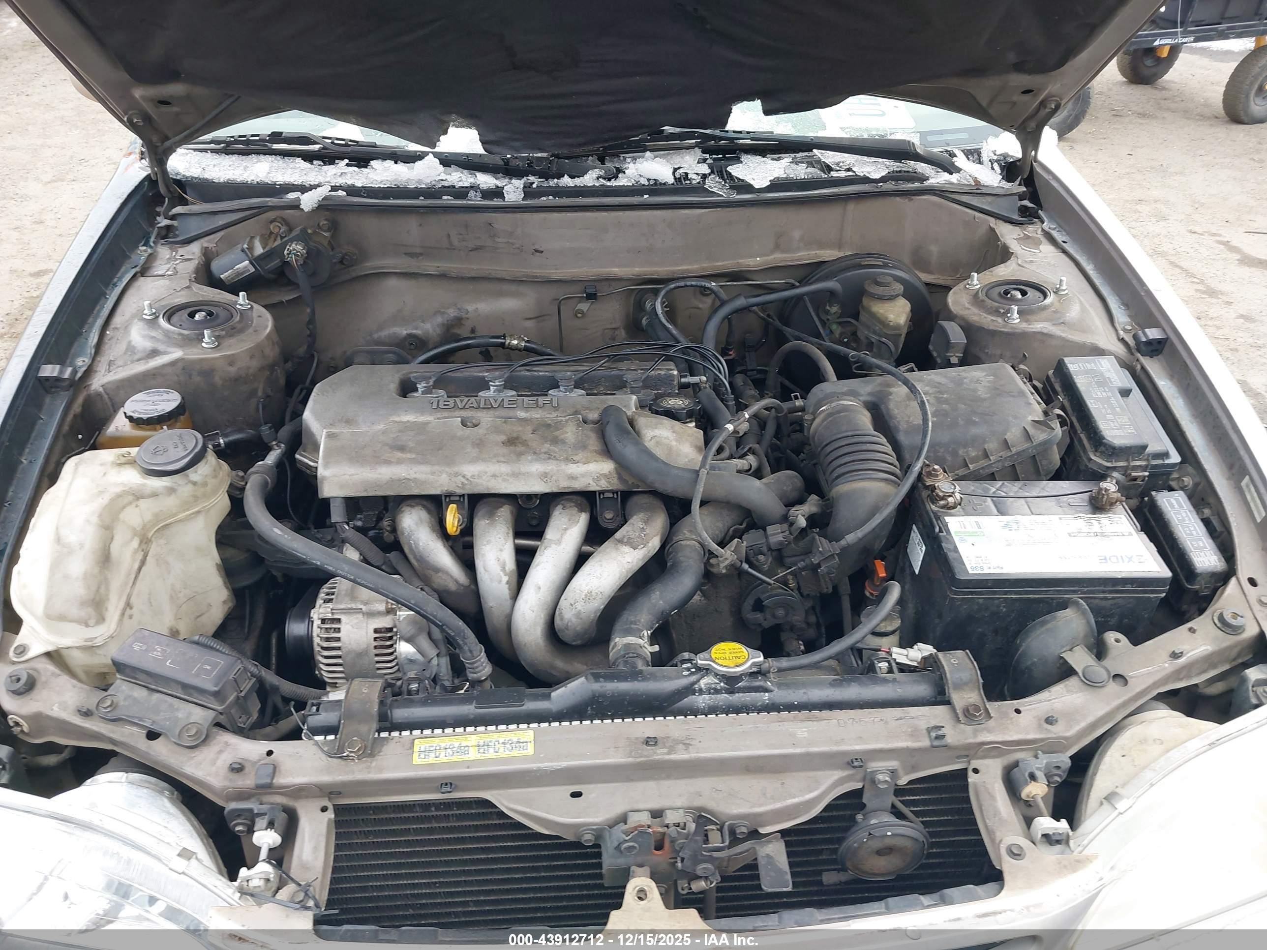 TOYOTA COROLLA image 10
