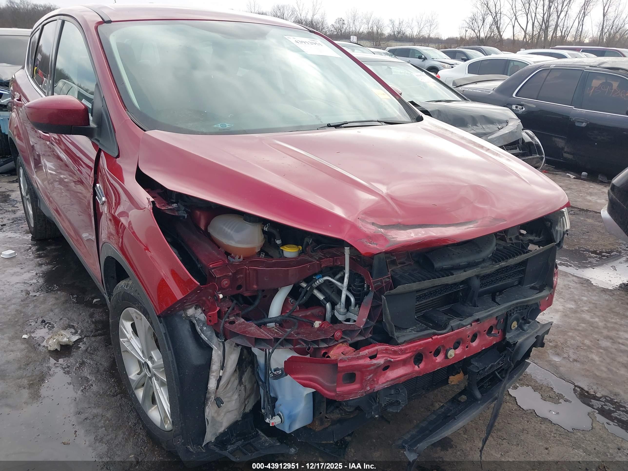 FORD ESCAPE image 6