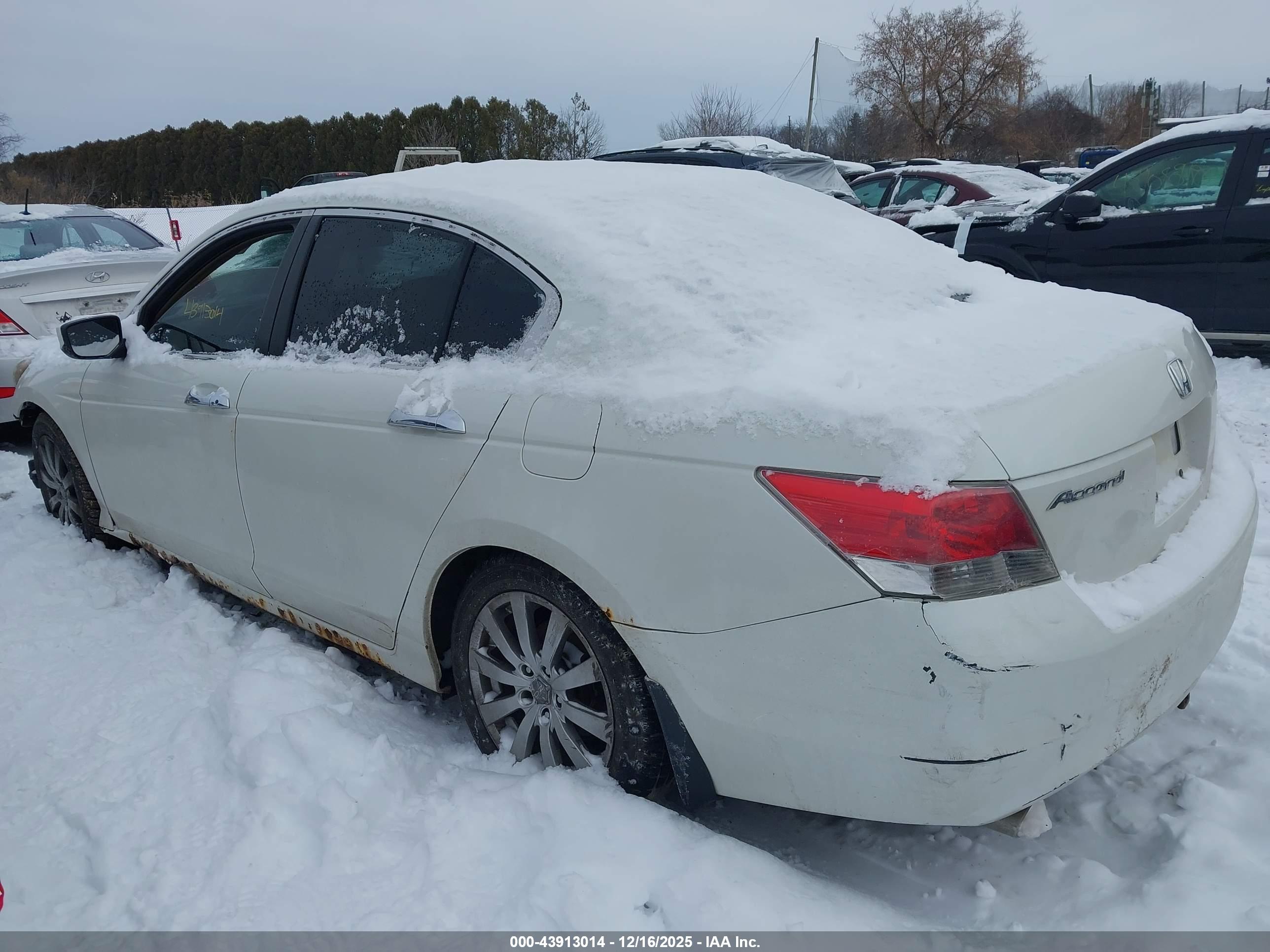 HONDA ACCORD image 3