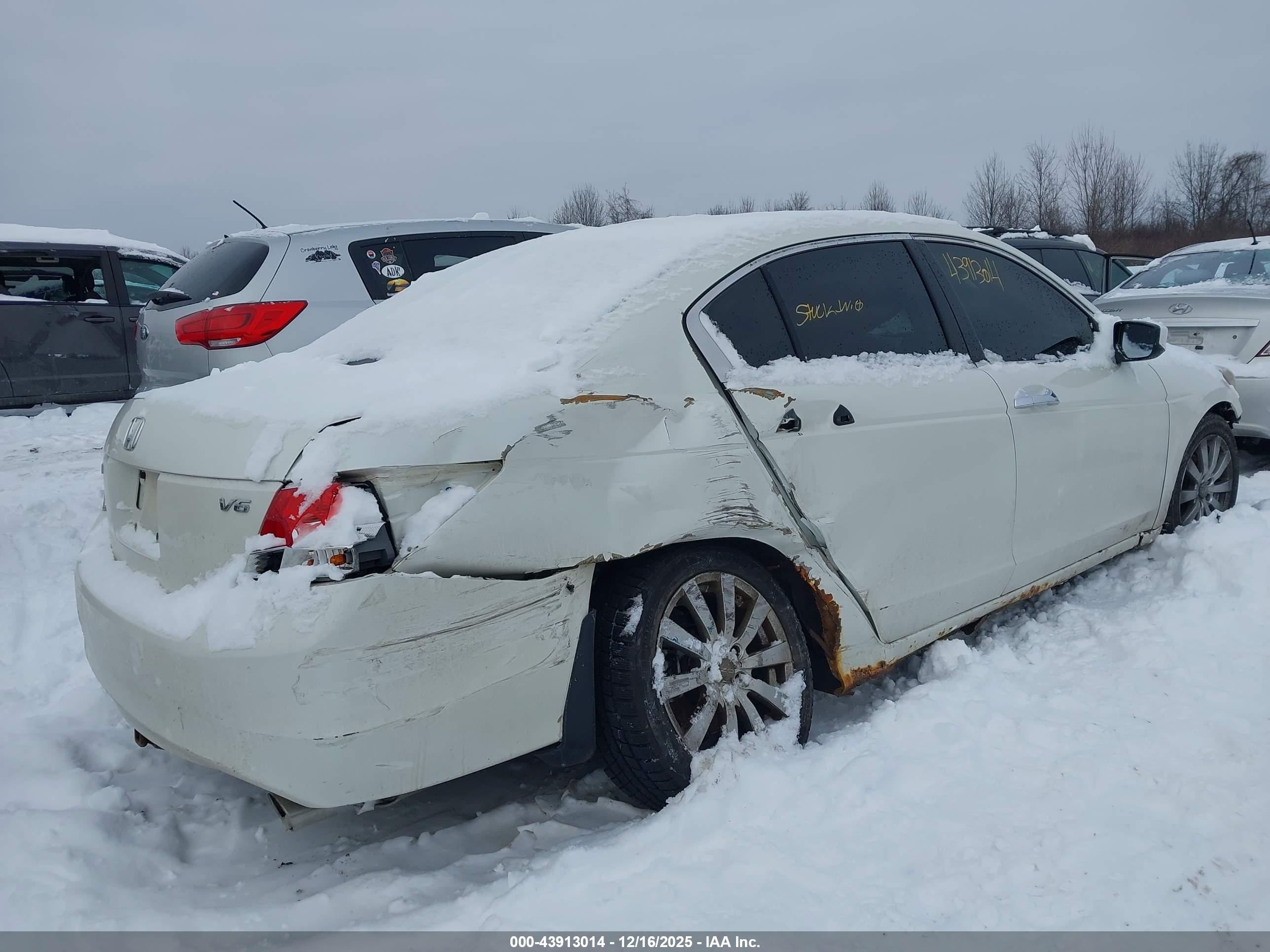 HONDA ACCORD image 4