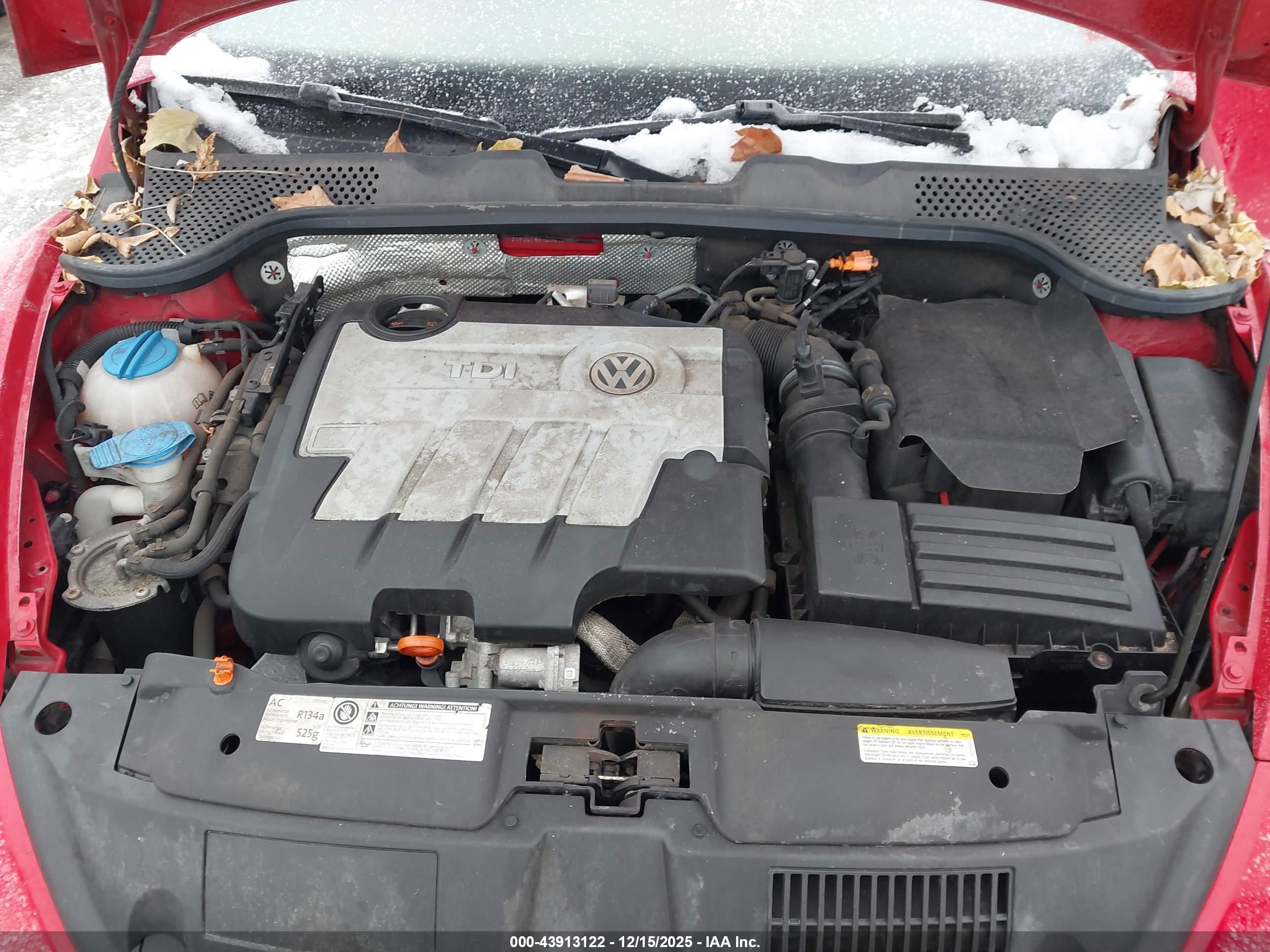 VOLKSWAGEN BEETLE image 10