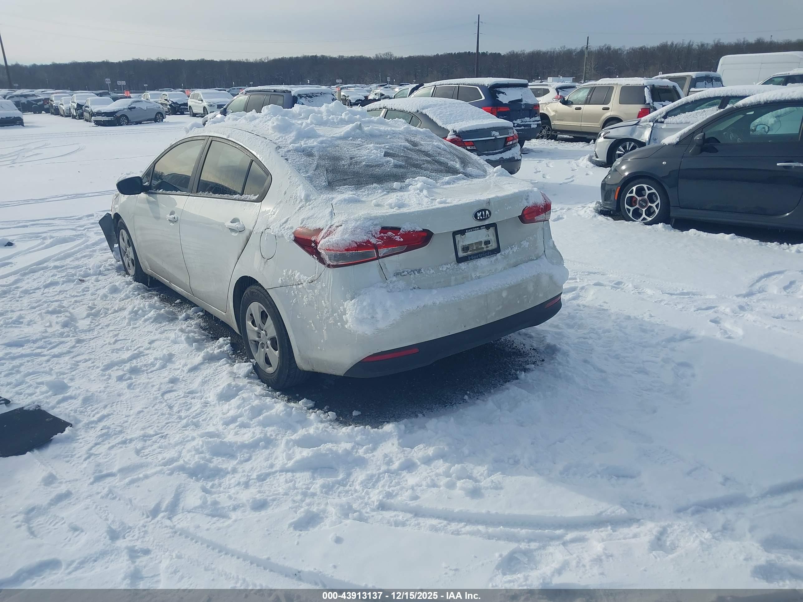 KIA FORTE image 3