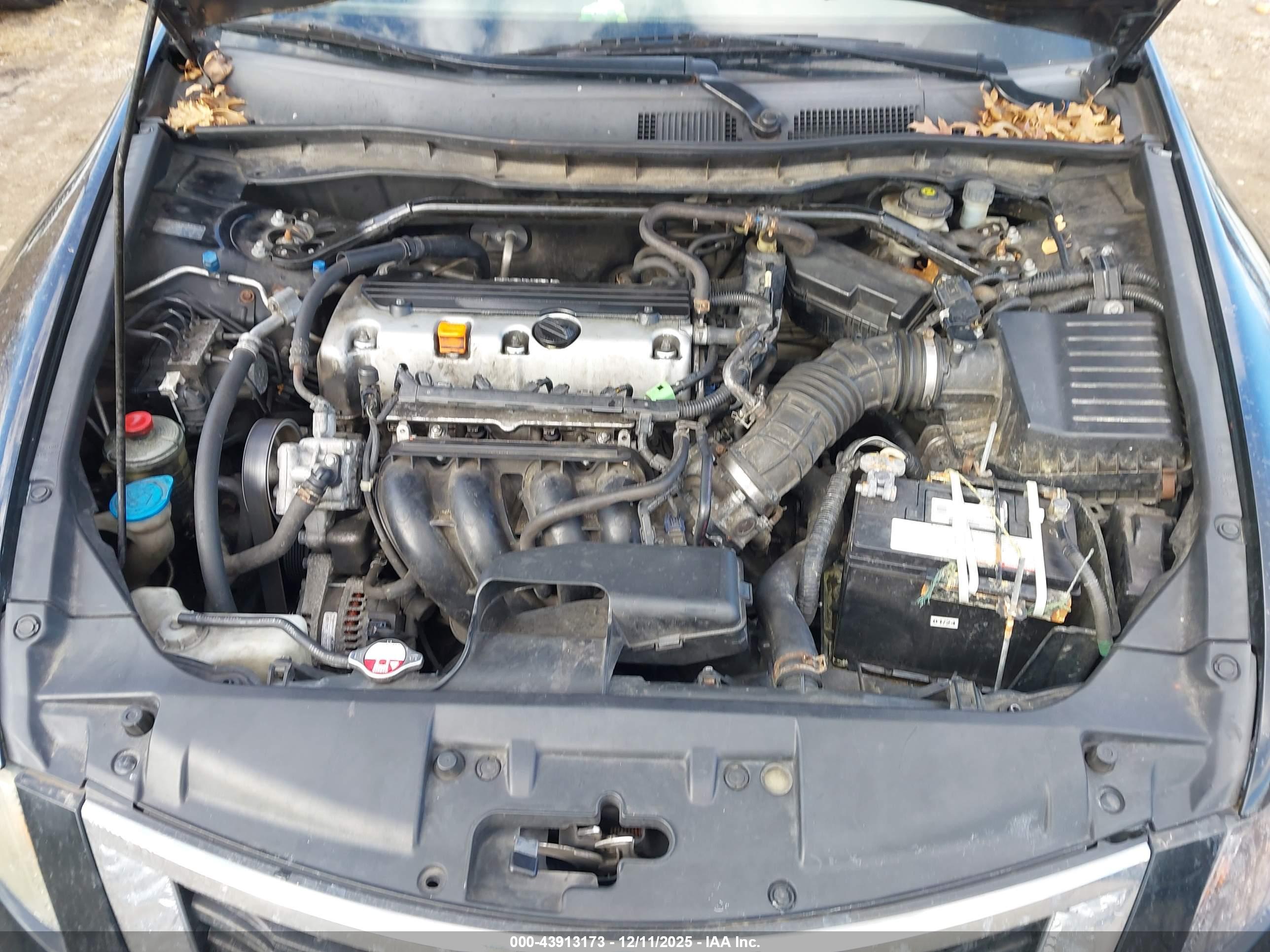 HONDA ACCORD image 10