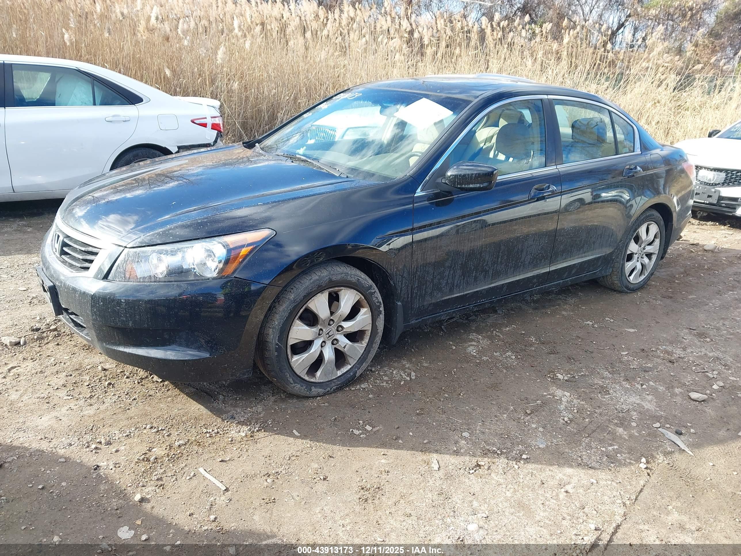 HONDA ACCORD image 2
