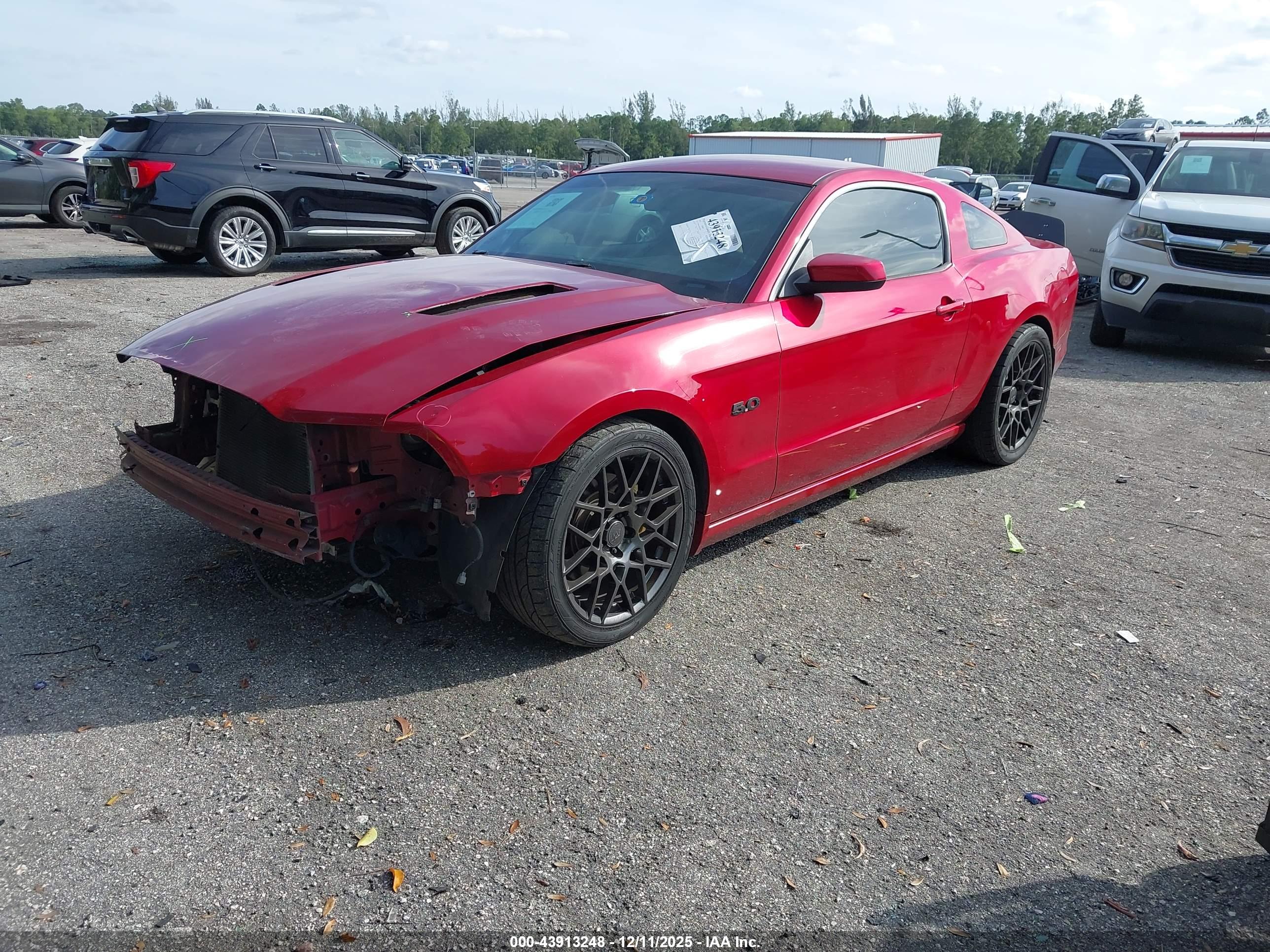 FORD MUSTANG image 2