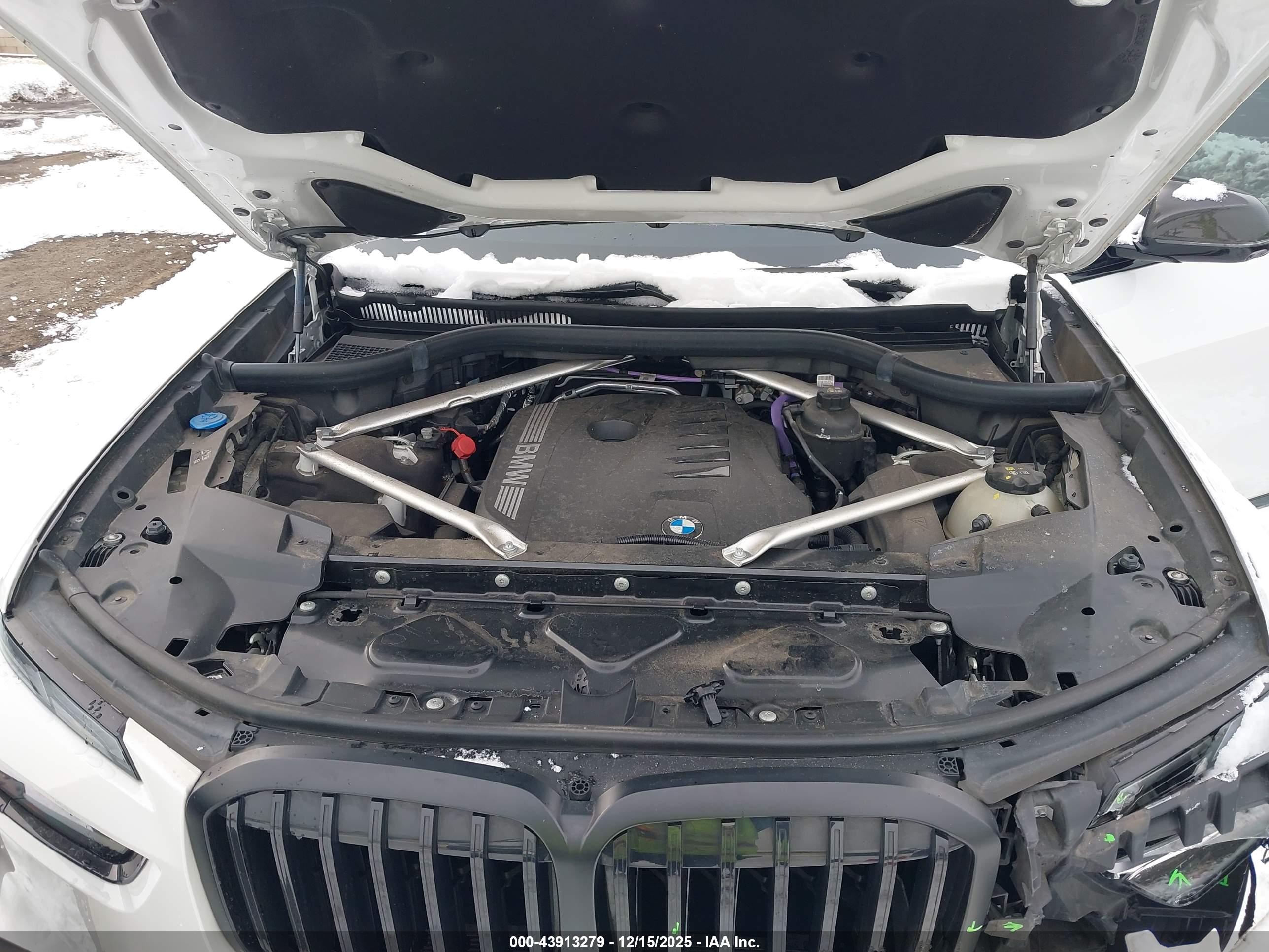 BMW X7 image 10
