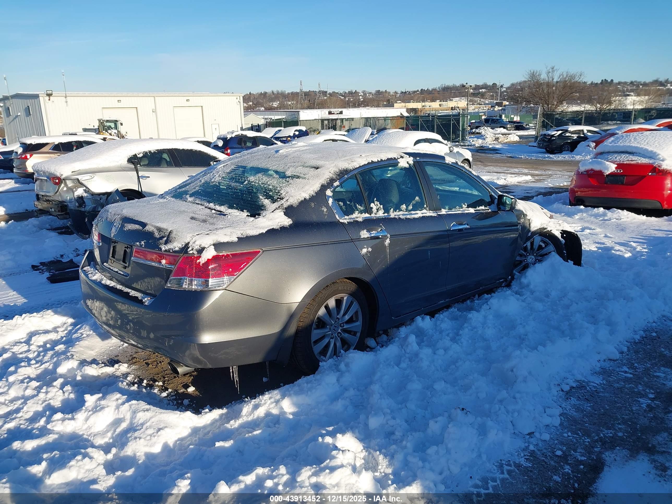 HONDA ACCORD image 4