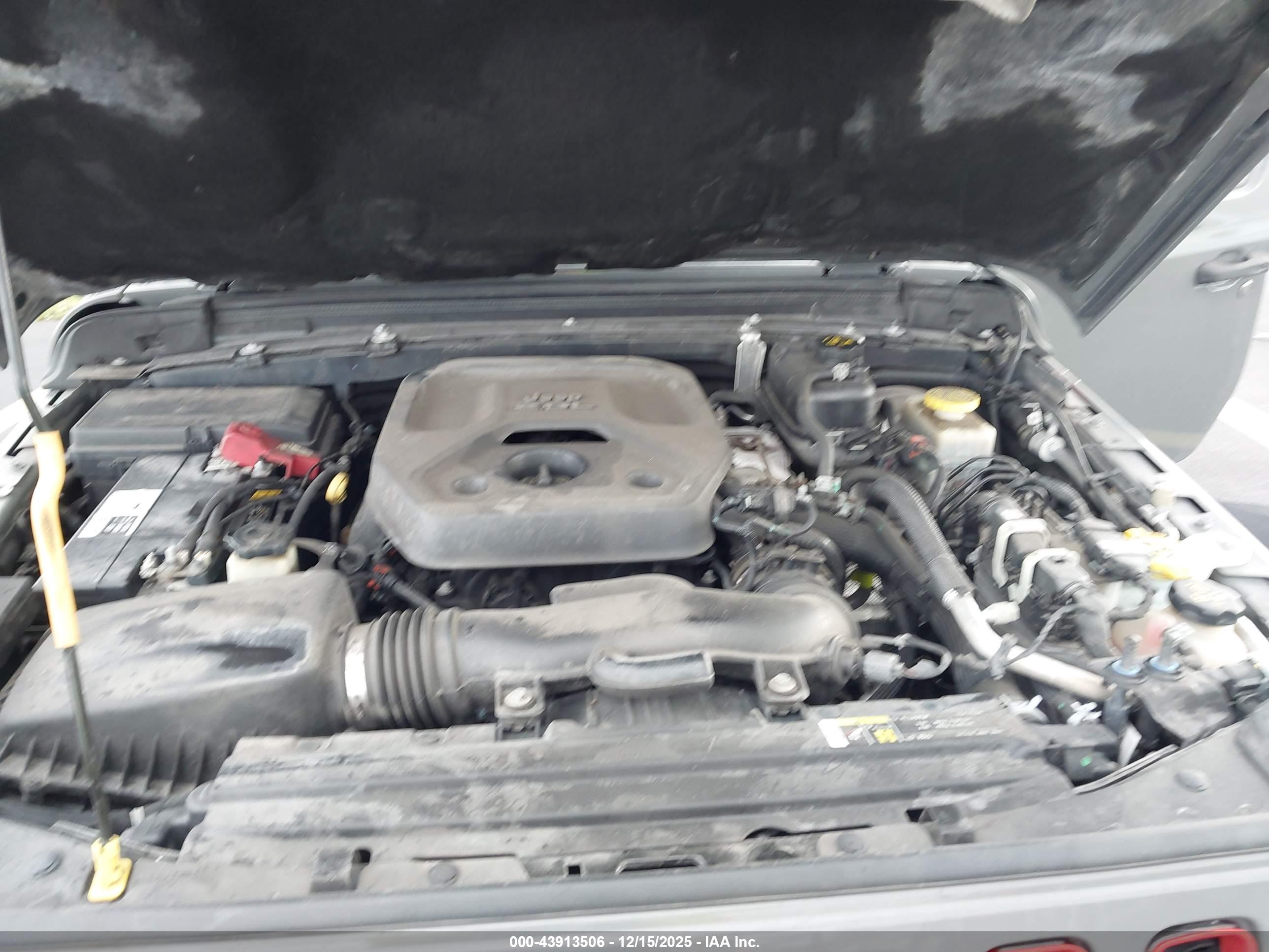 JEEP WRANGLER image 10
