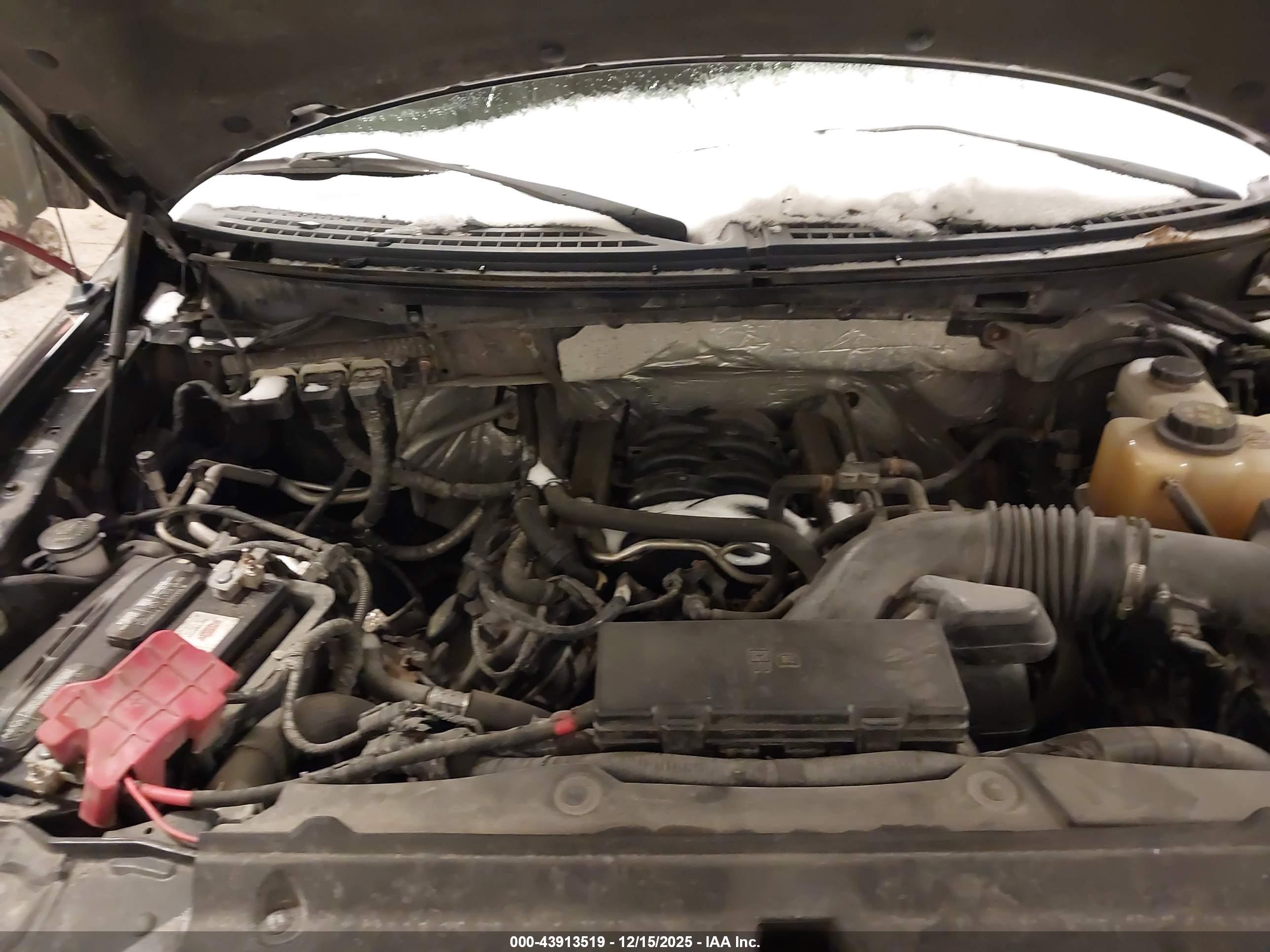 FORD F-150 image 10